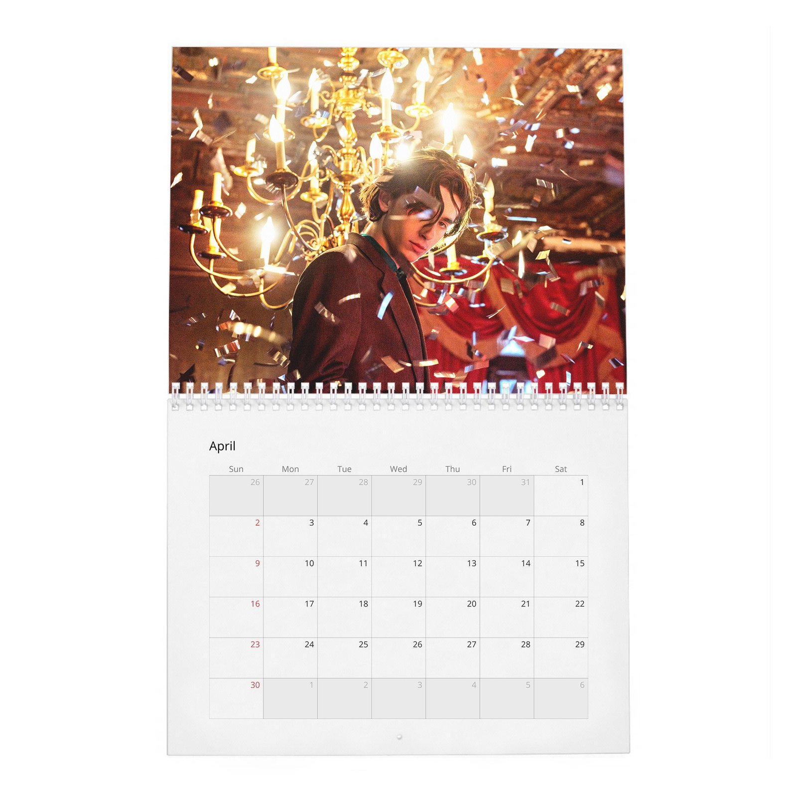 Timothée Chalamet - The Arrival Of 2027 Wall Calendar