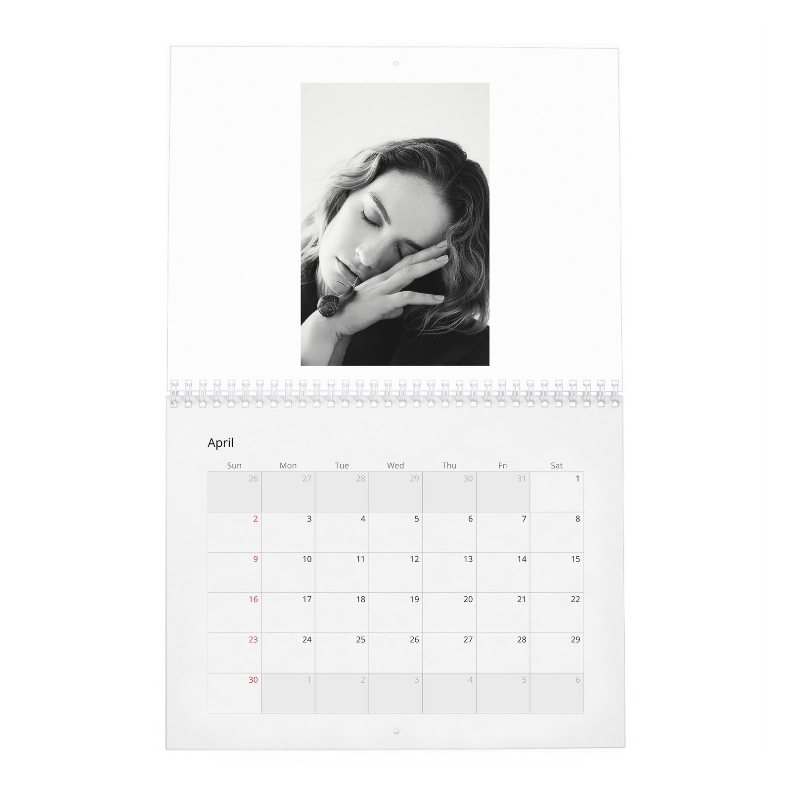 04 Lily James - Loving Lily 2027 Wall Calendar