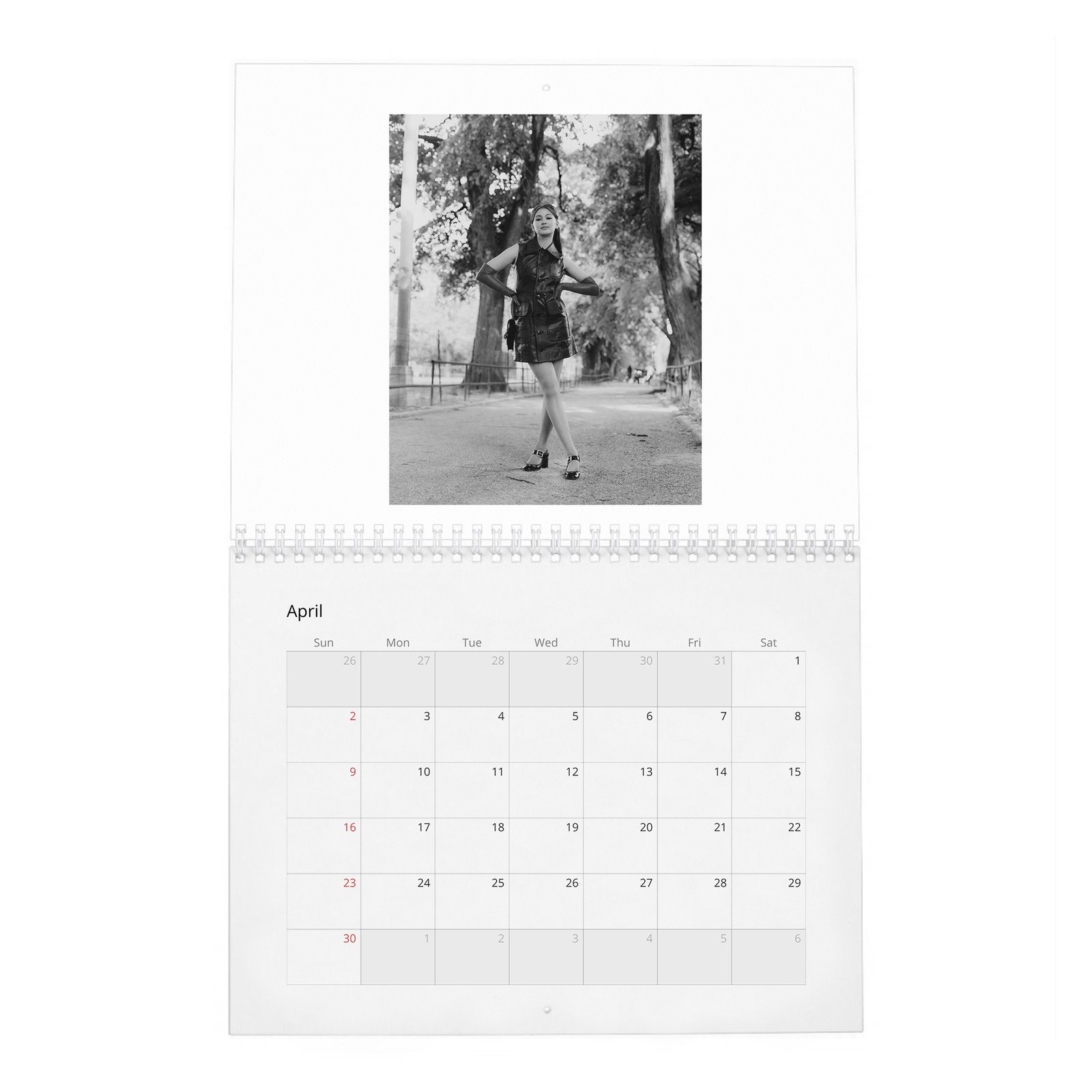 04 Lola Tung - Laterals 2027 Wall Calendar