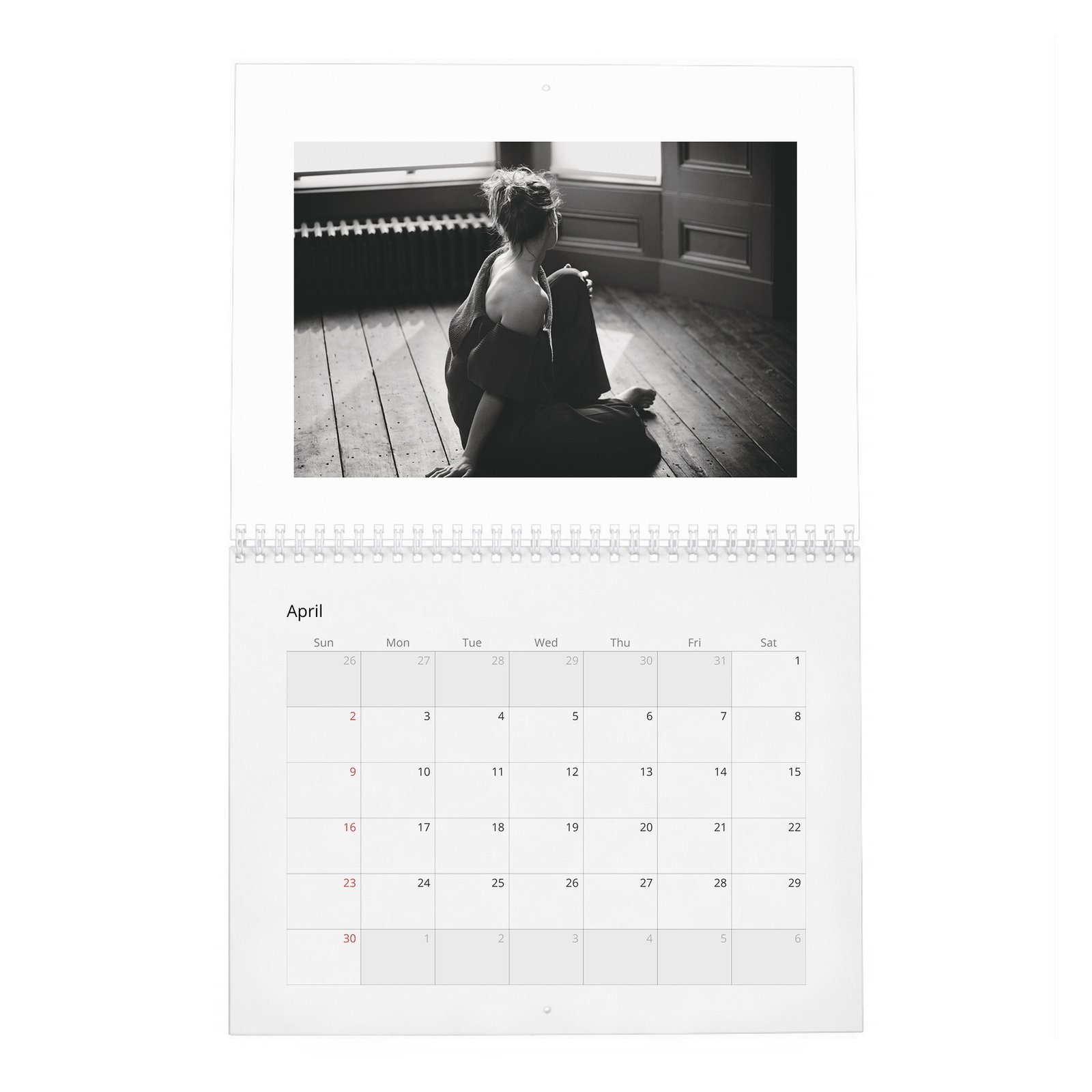 04 Ruth Wilson - A Single Mind 2027 Wall Calendar
