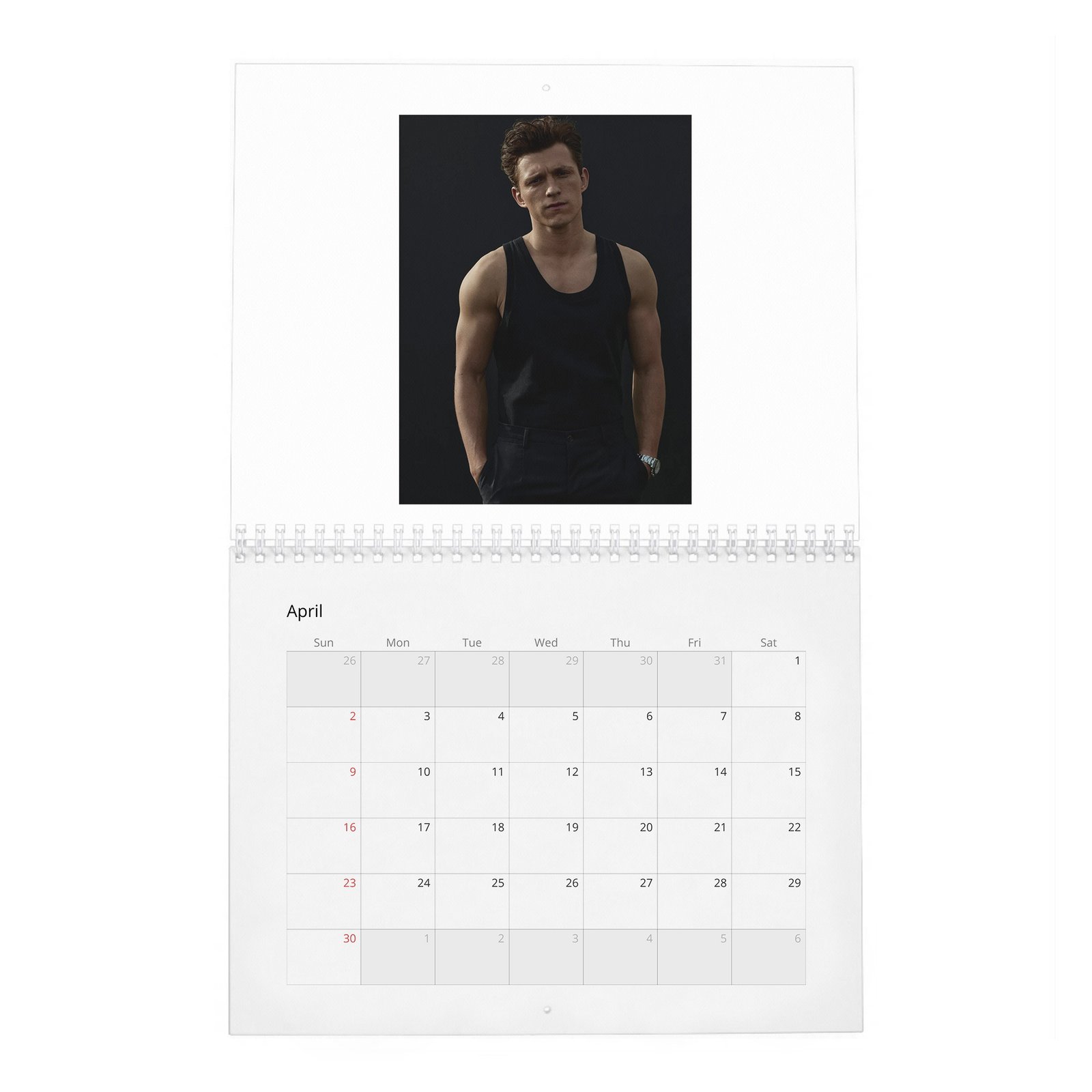 04 Tom Holland - The Charm And Grit Of 2027 Wall Calendar