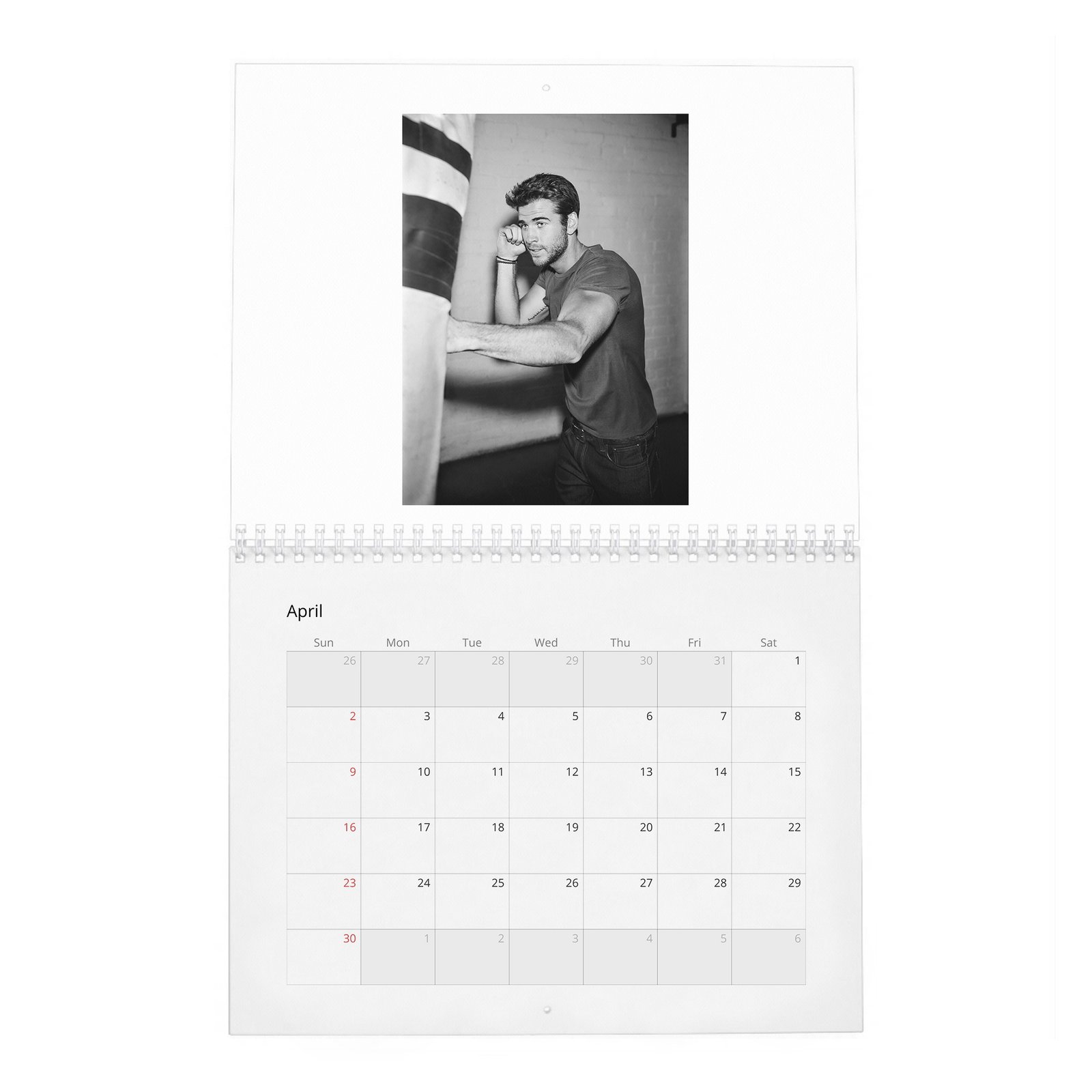 04 Liam Hemsworth - A Force Of Nature 2027 Wall Calendar