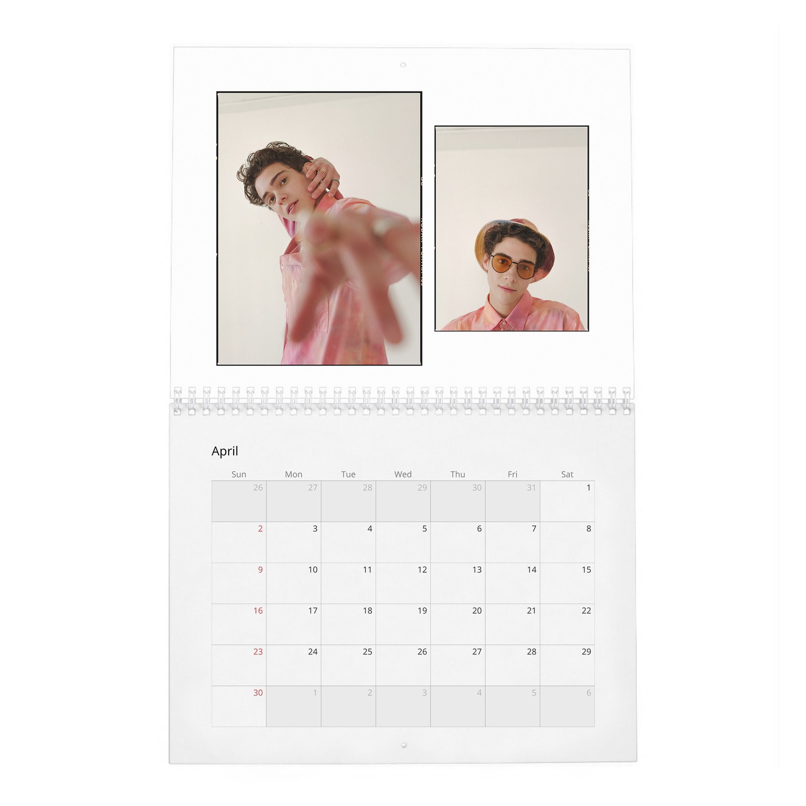 Joshua Basshett - Flaunt 2027 Wall Calendar
