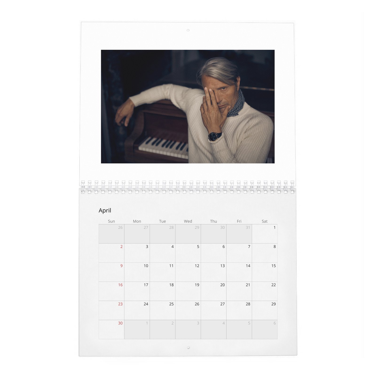 Mads Mikkelsen - The Great Dane 2027 Wall Calendar