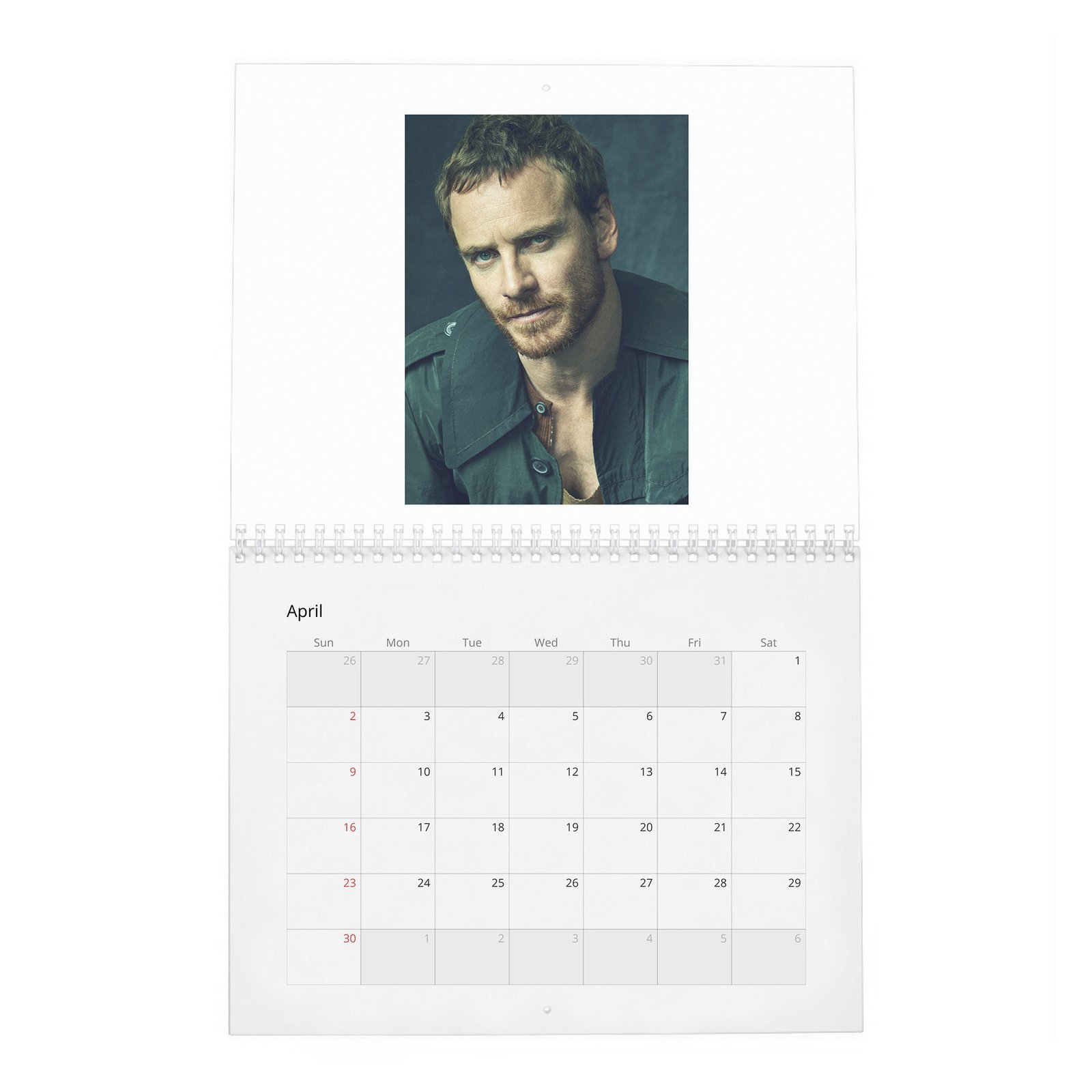Michael Fassbender - Rules For Living 2027 Wall Calendar