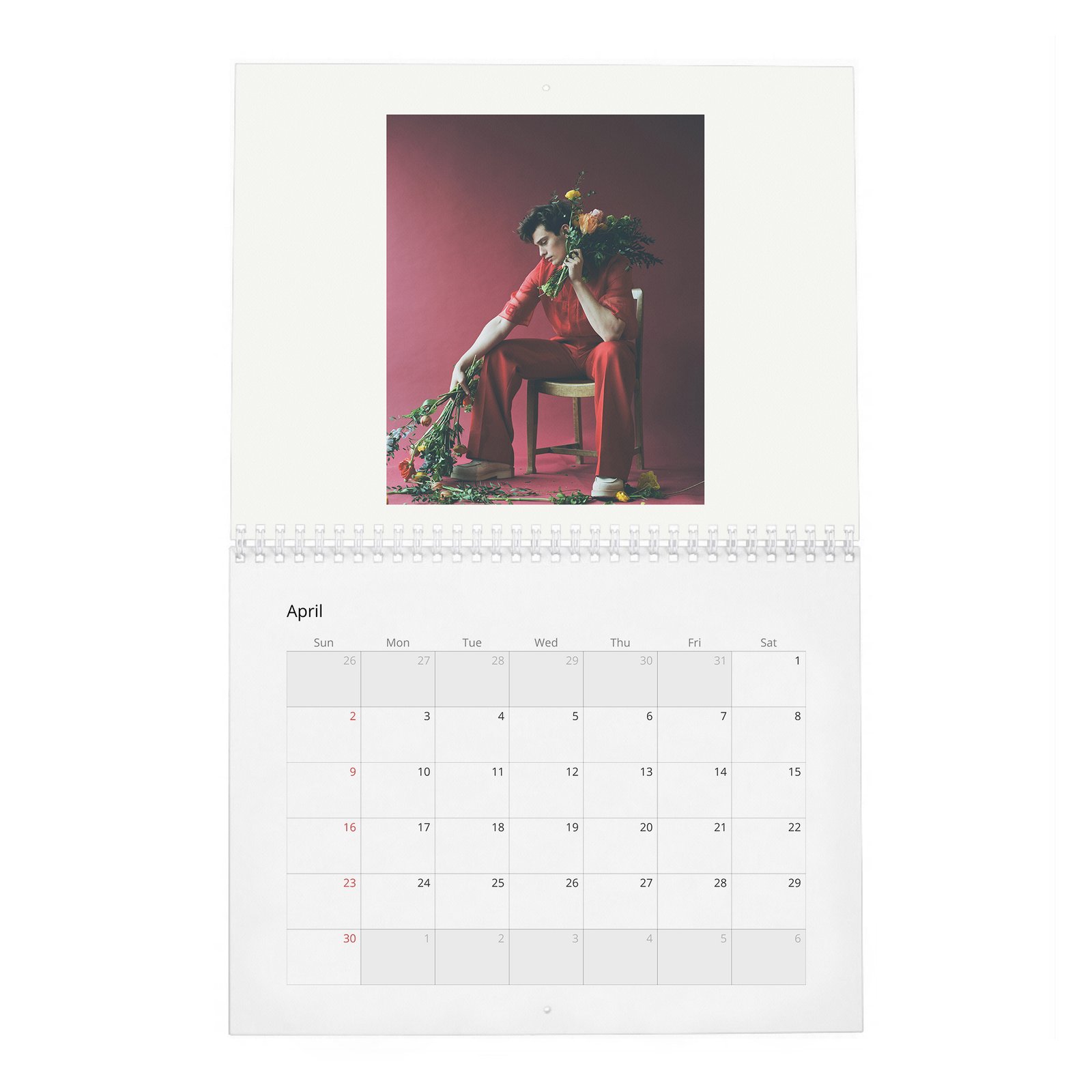 04 Nicholas Galitzine - Flaunt 2027 Wall Calendar