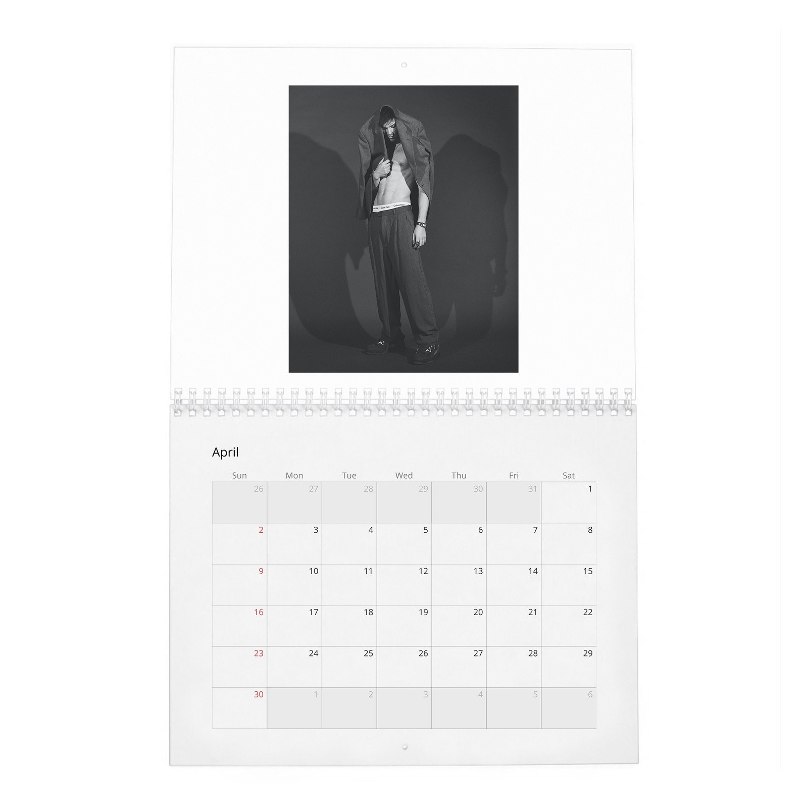 Nicholas Hoult - The Great 2027 Wall Calendar