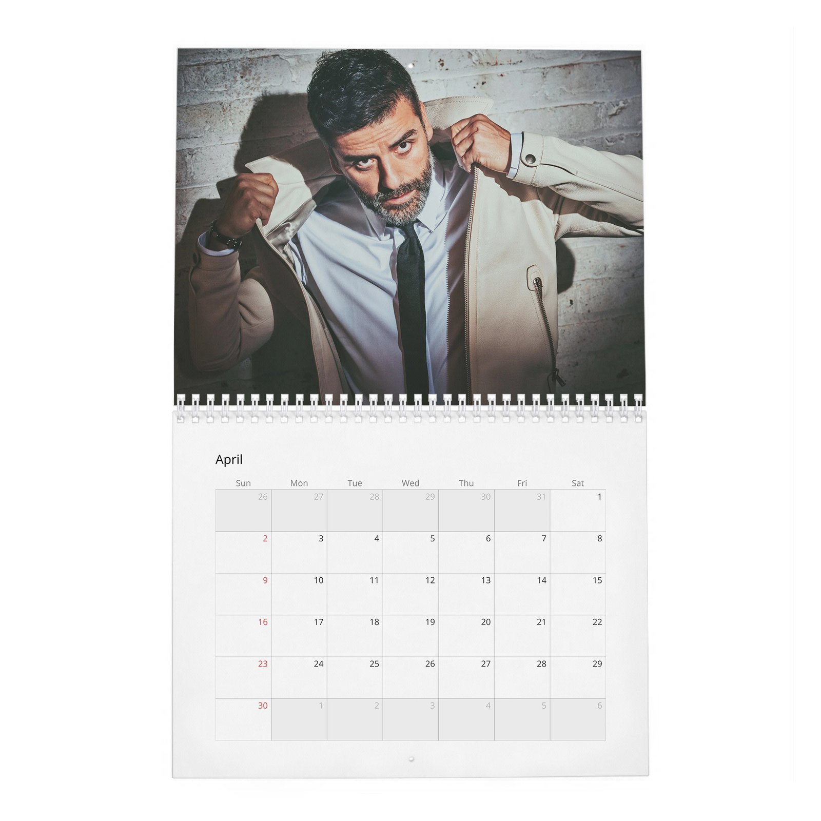 04 Oscar Isaac - The Dream Of 2027 Wall Calendar