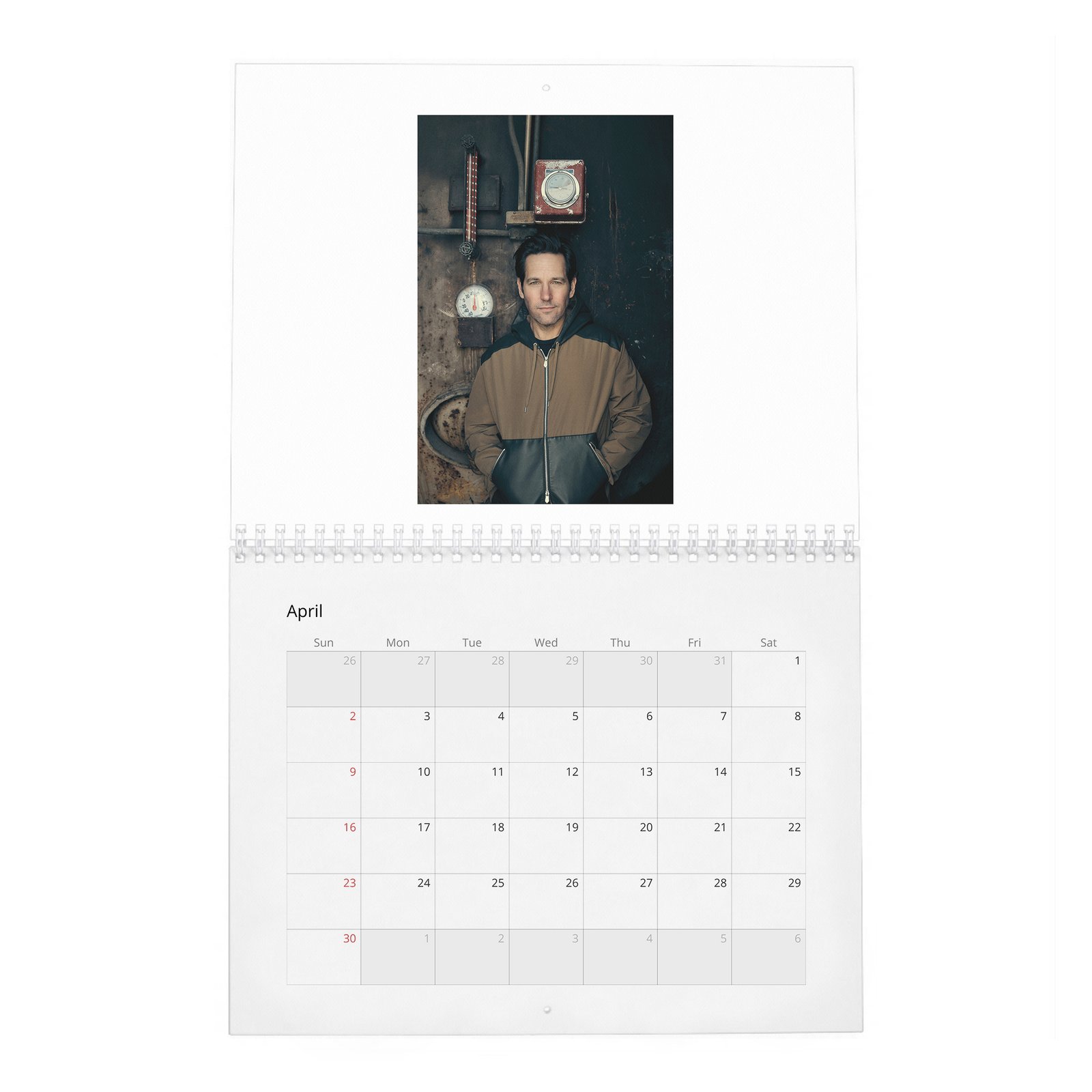 04 Paul Rudd - The Pole Vaulter 2027 Wall Calendar