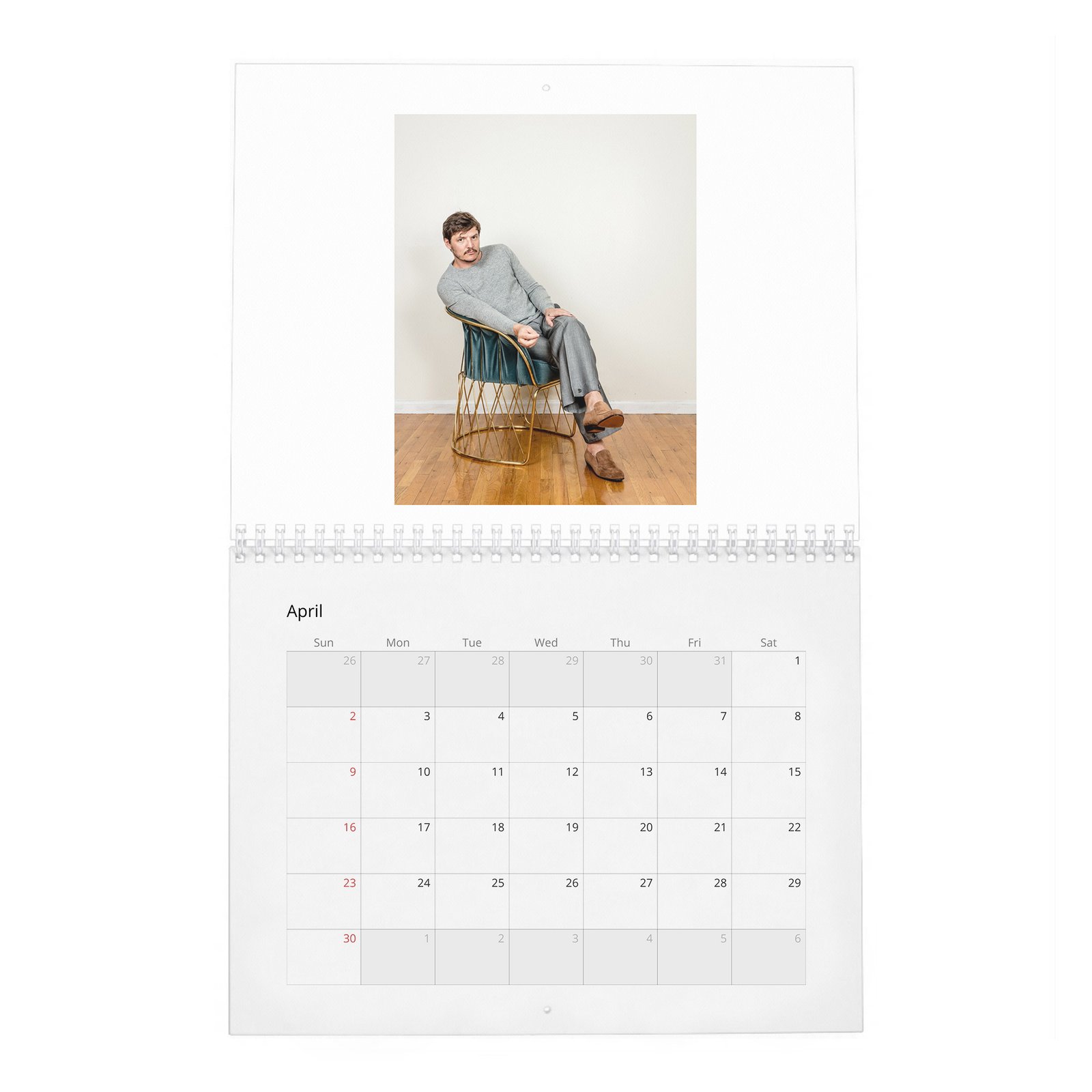 Pedro Pascal - Bad Hombre 2027 Wall Calendar