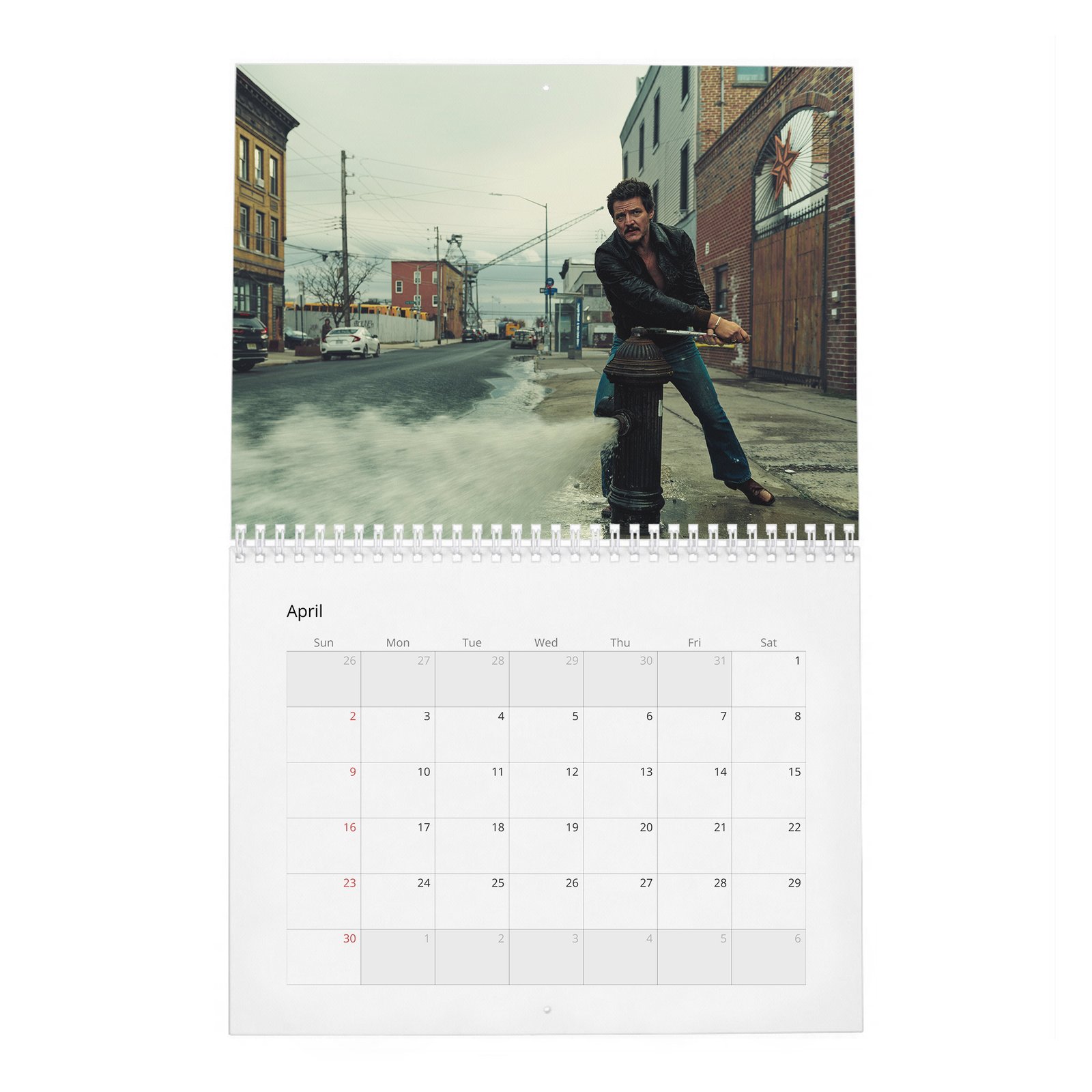 04 Pedro Pascal - The Dangerously Charming 2027 Wall Calendar