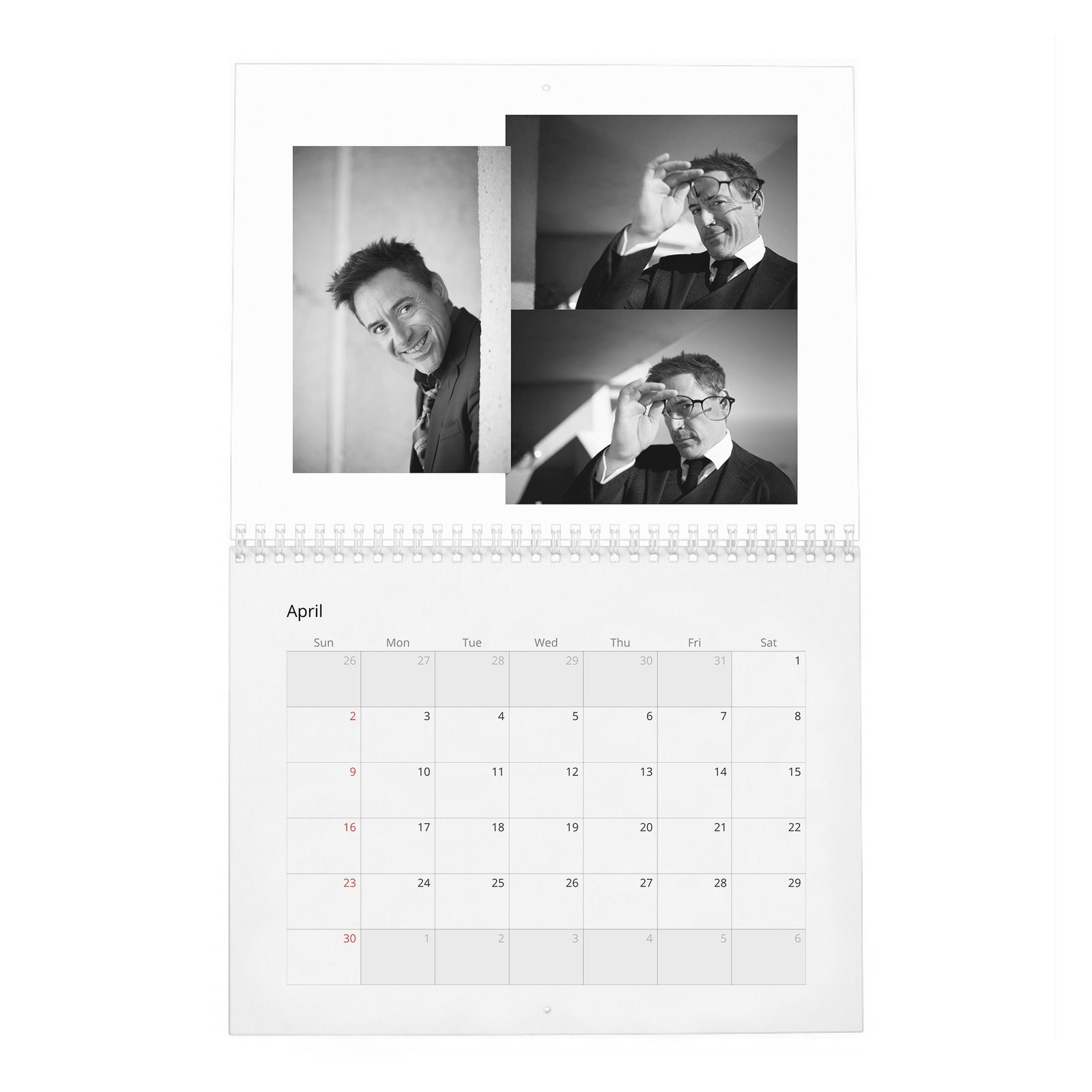 04 Robert Downey Jr. - The Complete 2027 Wall Calendar