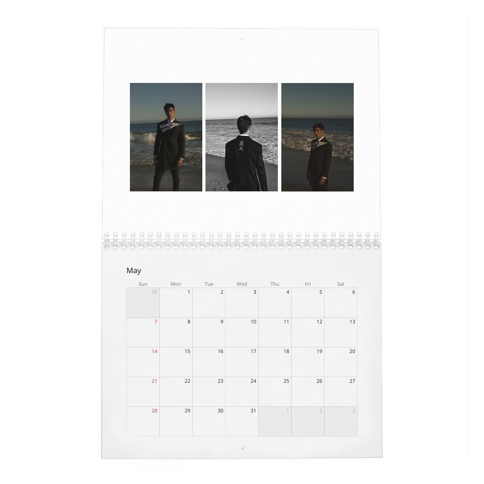Taylor Zakhar Perez - Content 2027 Wall Calendar