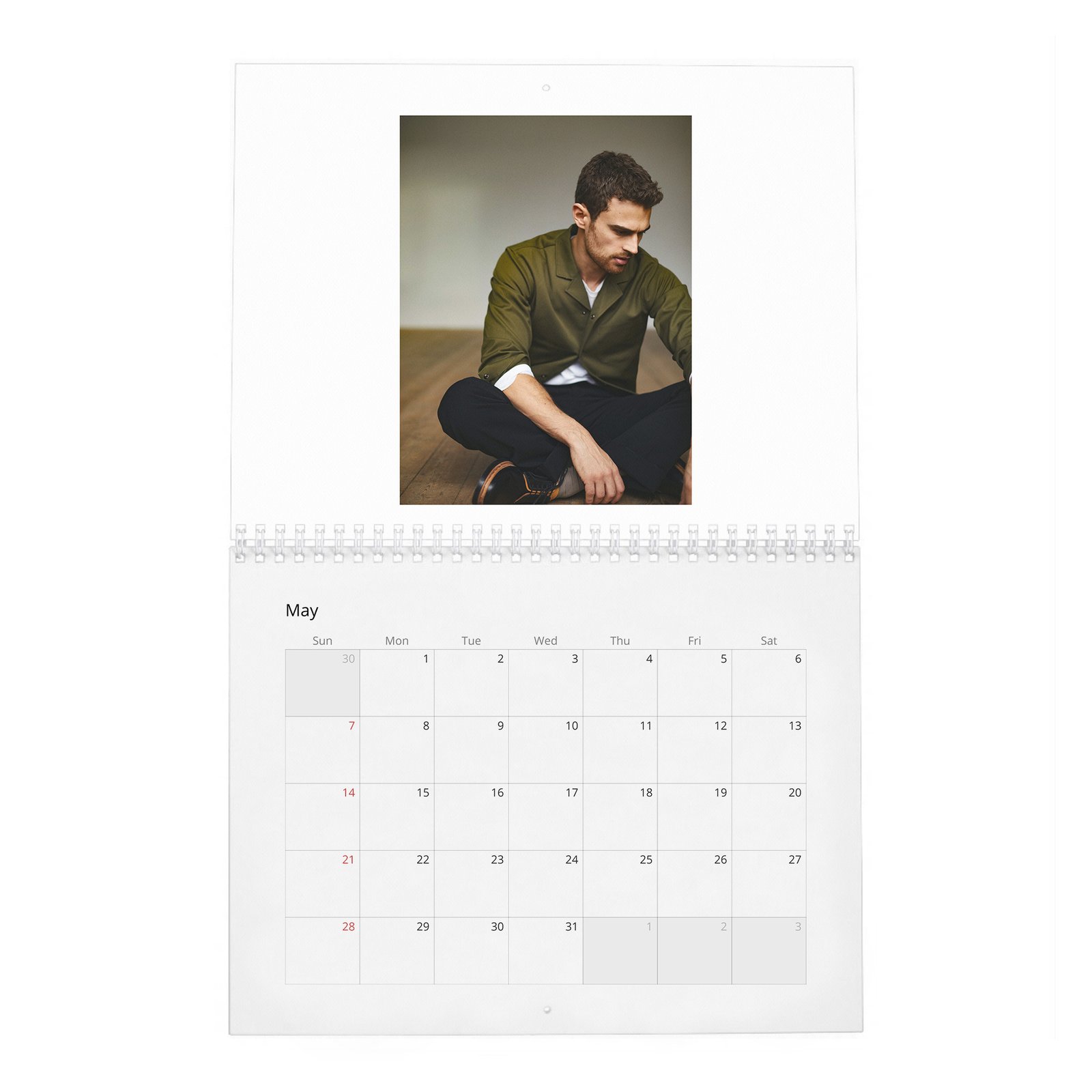 05 Theo James - Objectification And Being A Heart-Throb 2027 Wall Calendar