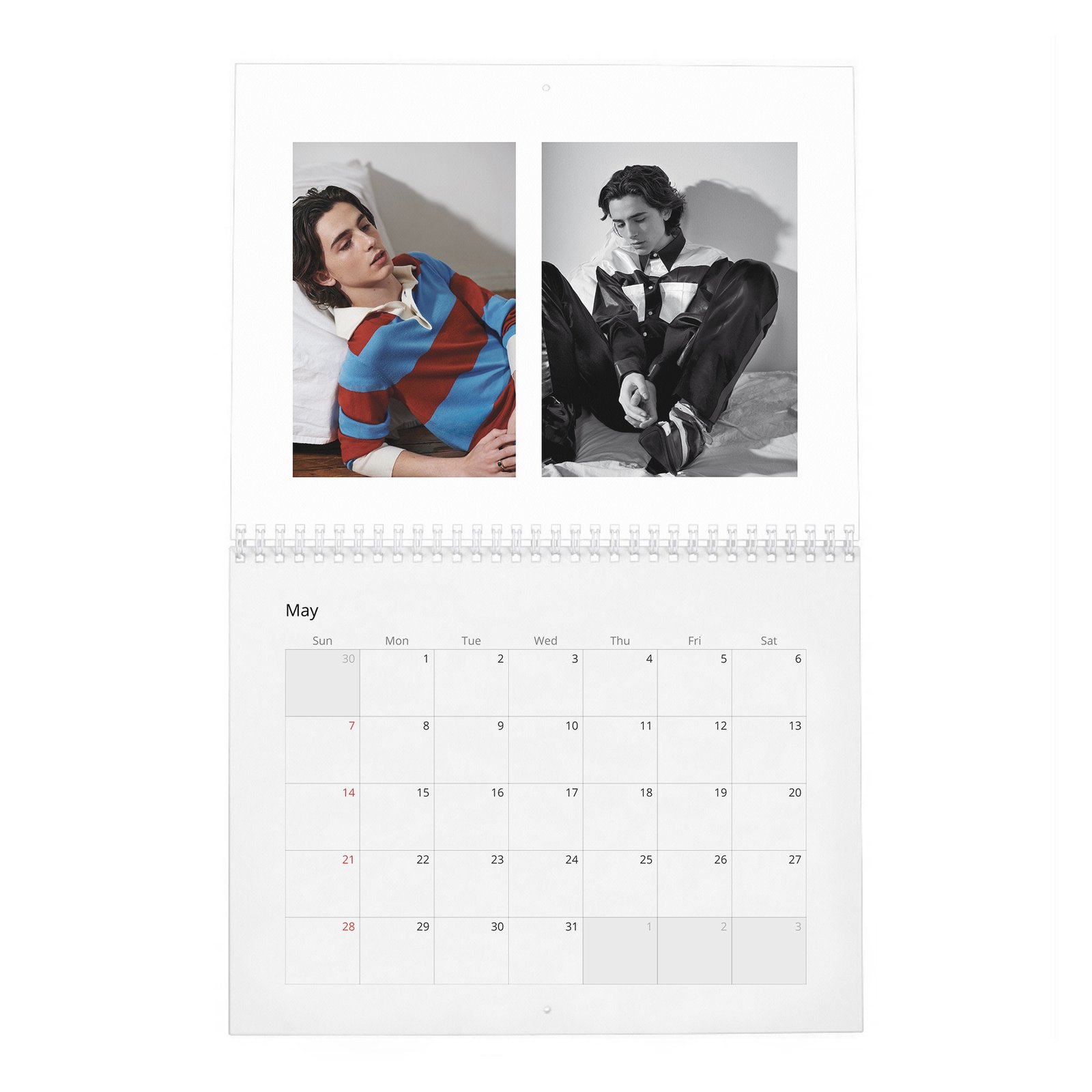 05 Timothée Chalamet - A Day In The Life Of 2027 Wall Calendar