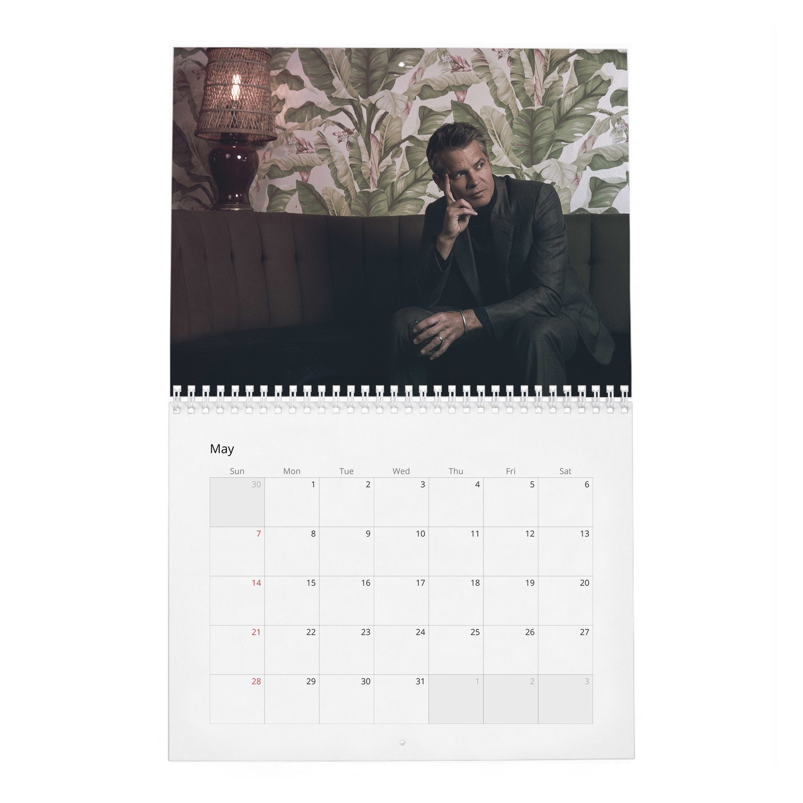 Timothy Olyphant - Rogue 2027 Wall Calendar