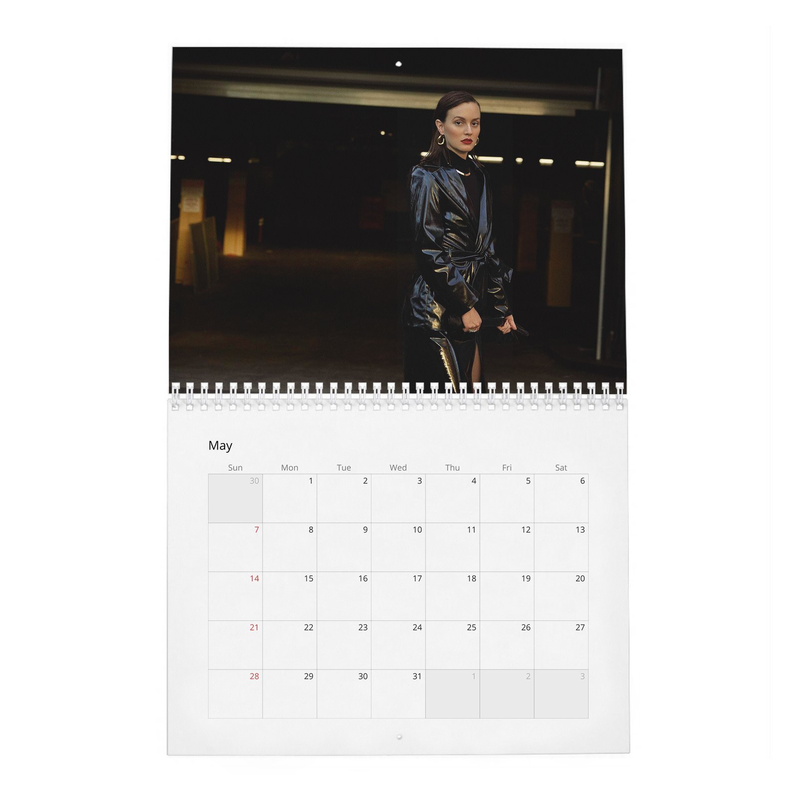 05 Leighton Meester - The Next Episode 2027 Wall Calendar
