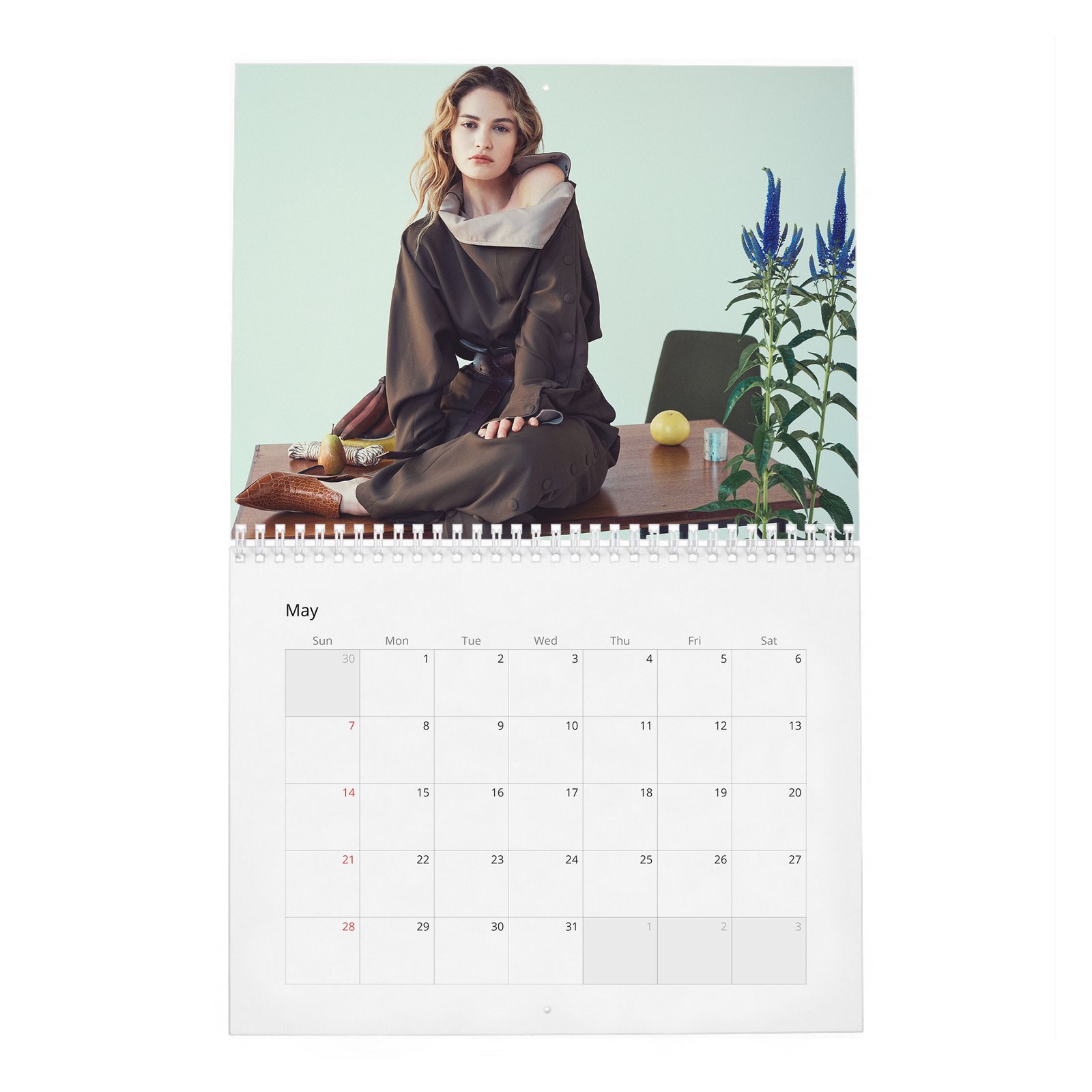 05 Lily James - Loving Lily 2027 Wall Calendar