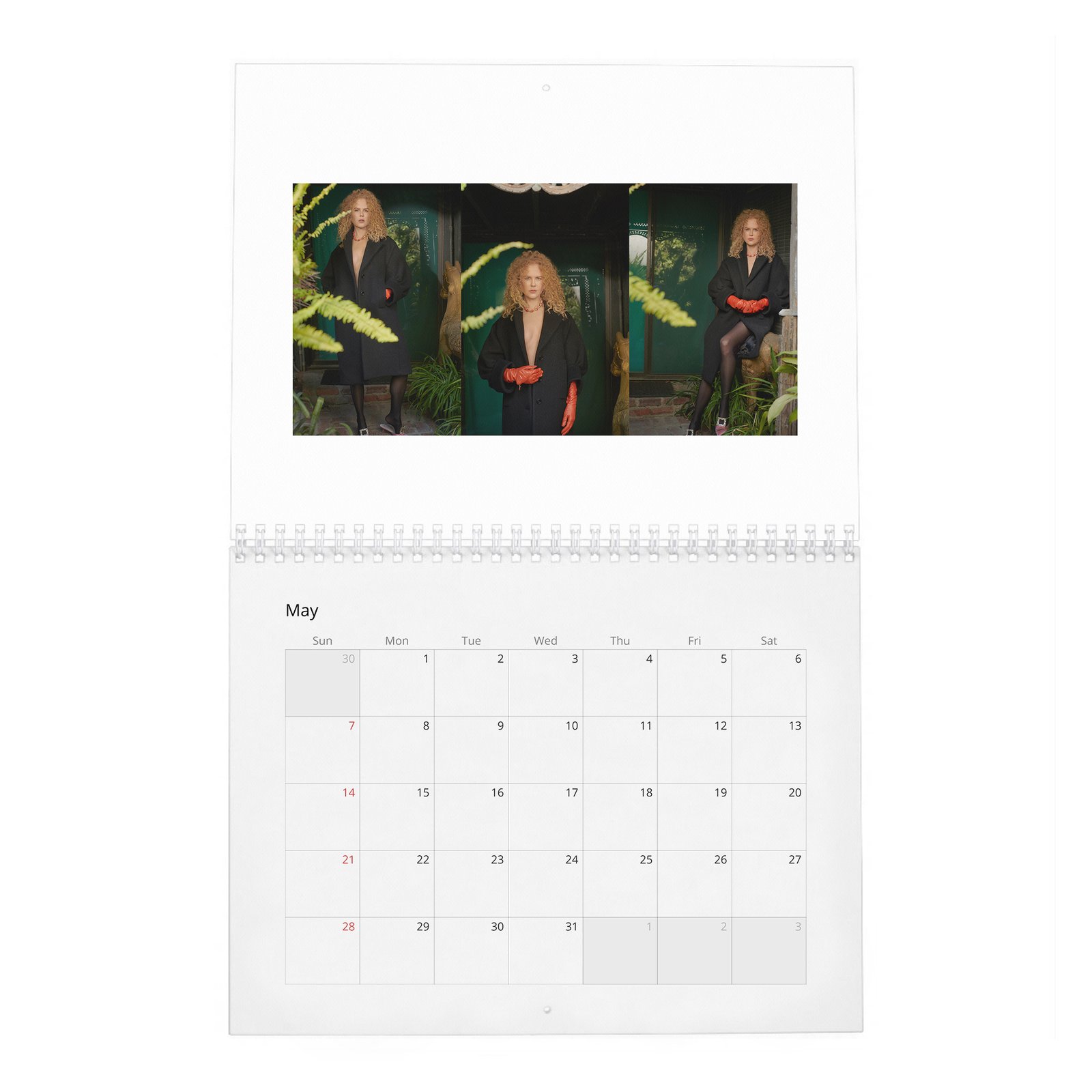 05 Nicole Kidman - The Golden Age Of 2027 Wall Calendar