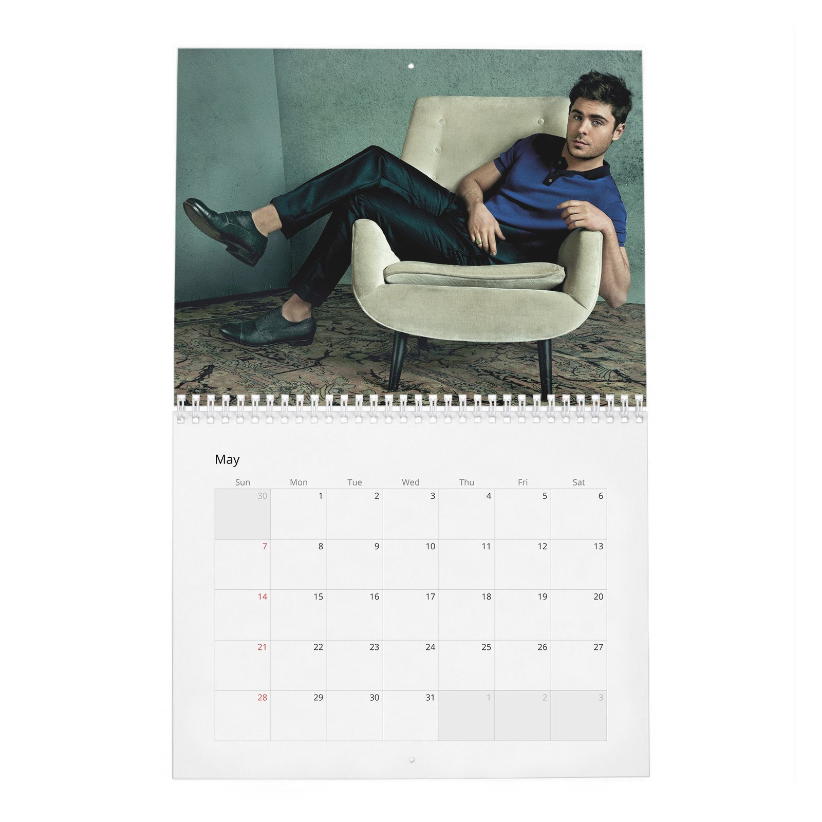 05 Zac Efron - Flaunt 2027 Wall Calendar