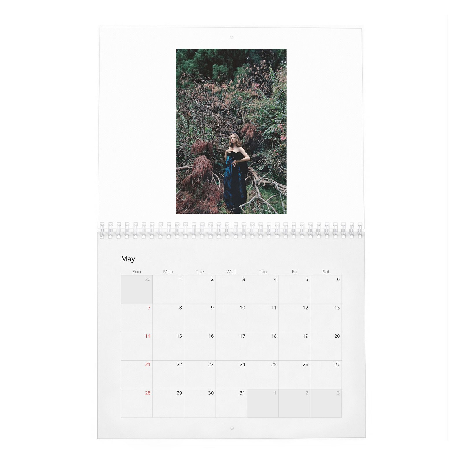 Rachel McAdams - Violet 2027 Wall Calendar