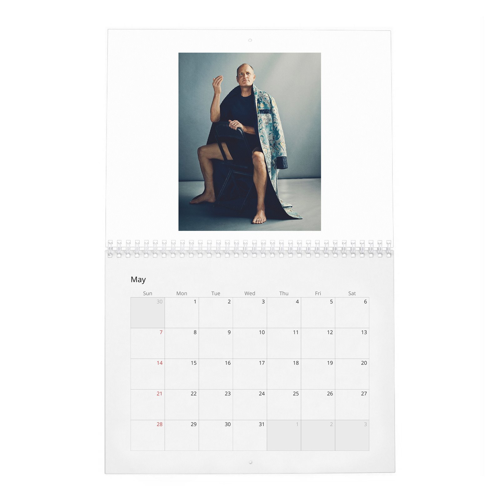 05 Woody Harrelson - Light Up 2027 Wall Calendar