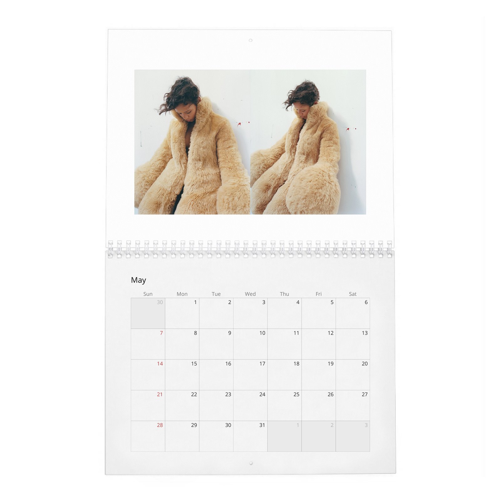 05 Taylor Russell - The Face 2027 Wall Calendar