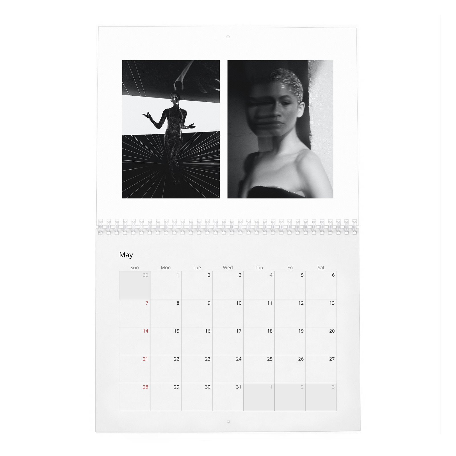 05 Zendaya - Future Human 2027 Wall Calendar