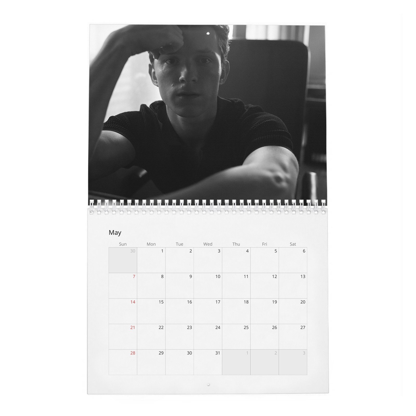 05 Tom Holland - The Charm And Grit Of 2027 Wall Calendar