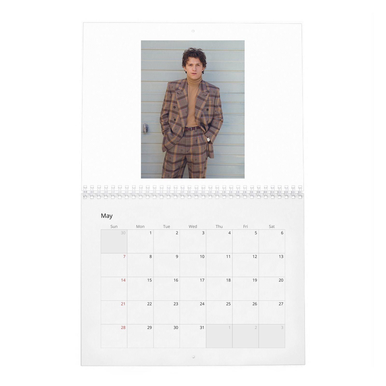 Tom Holland - The Center Of The Web 2027 Wall Calendar