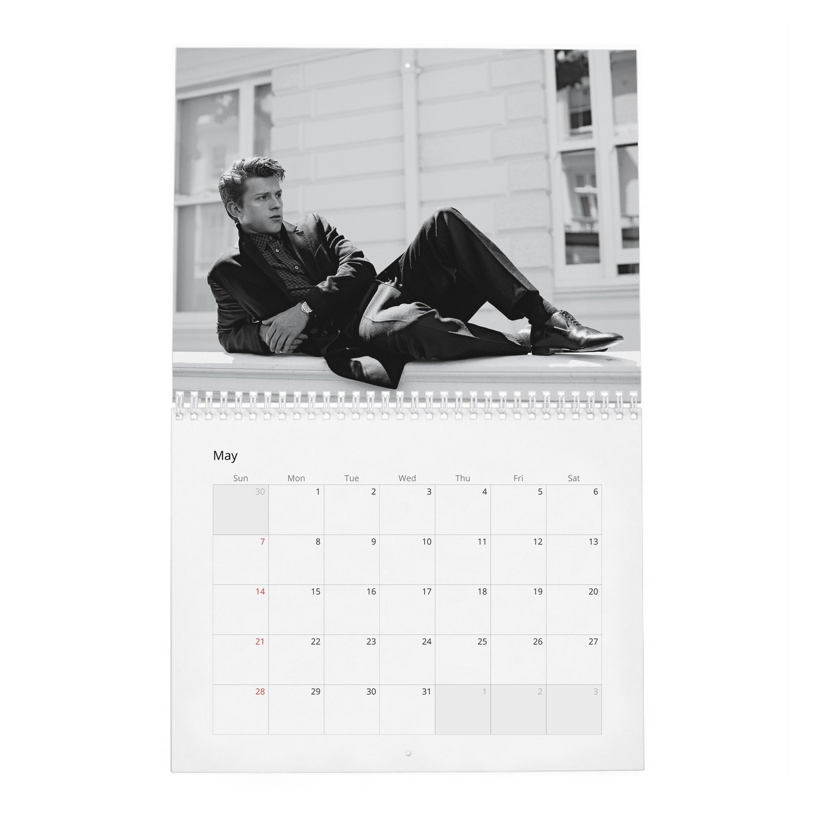 Tom Holland - Braces For Impact 2027 Wall Calendar