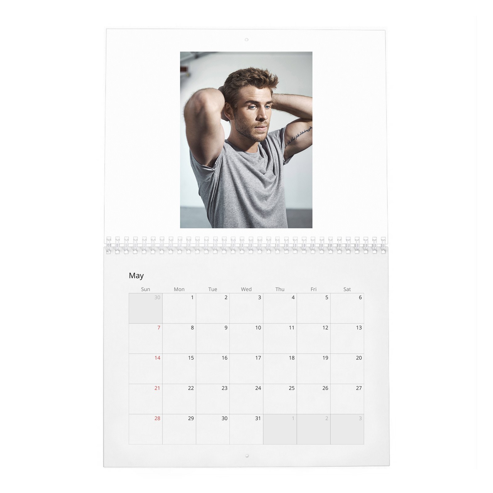 05 Liam Hemsworth - A Force Of Nature 2027 Wall Calendar
