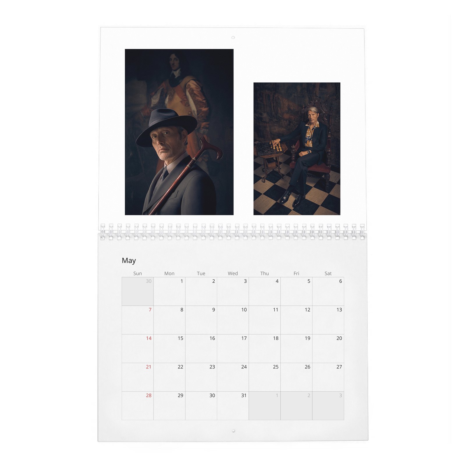 Mads Mikkelsen - The Great Dane 2027 Wall Calendar