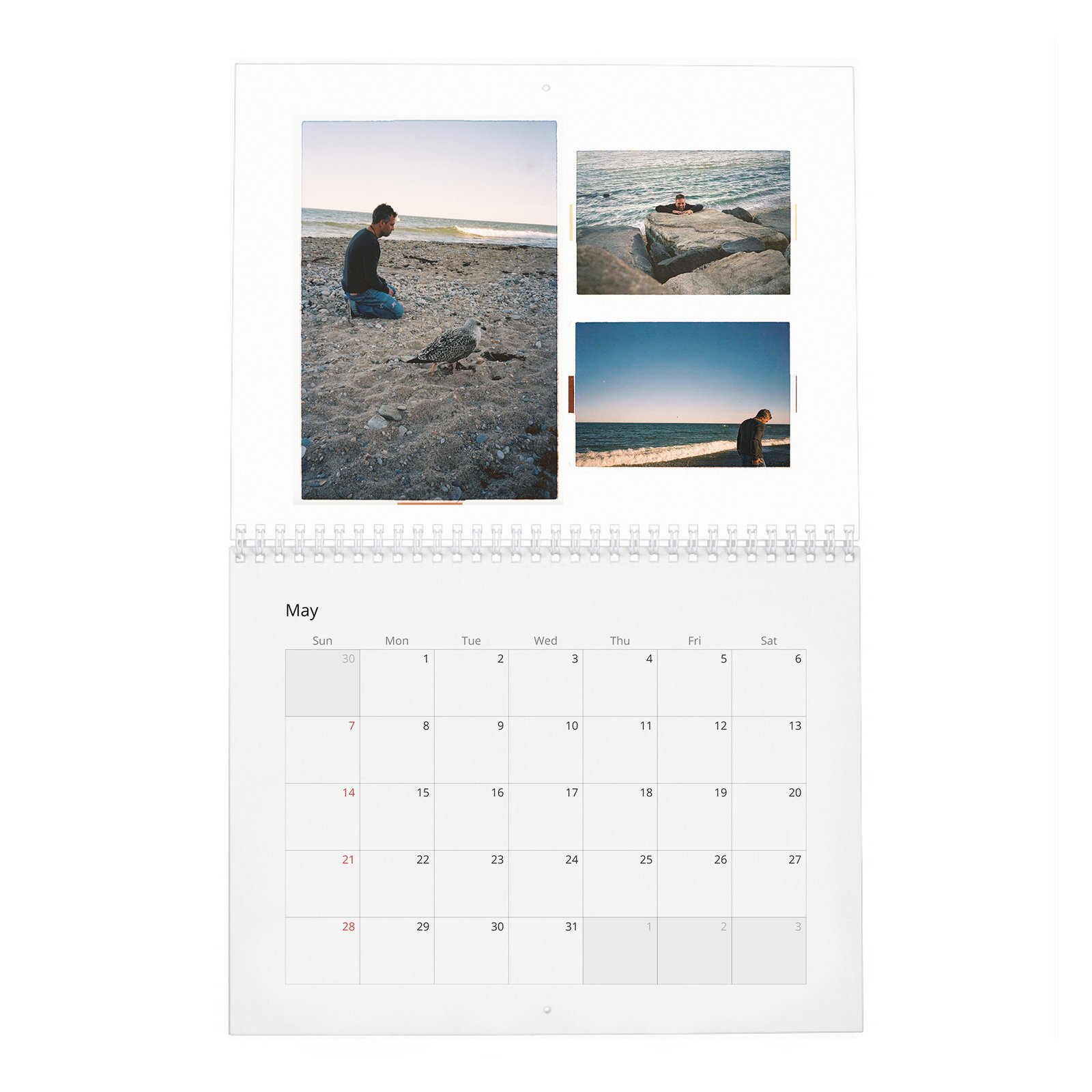 05 Mark Ruffalo - So It Goes 2027 Wall Calendar