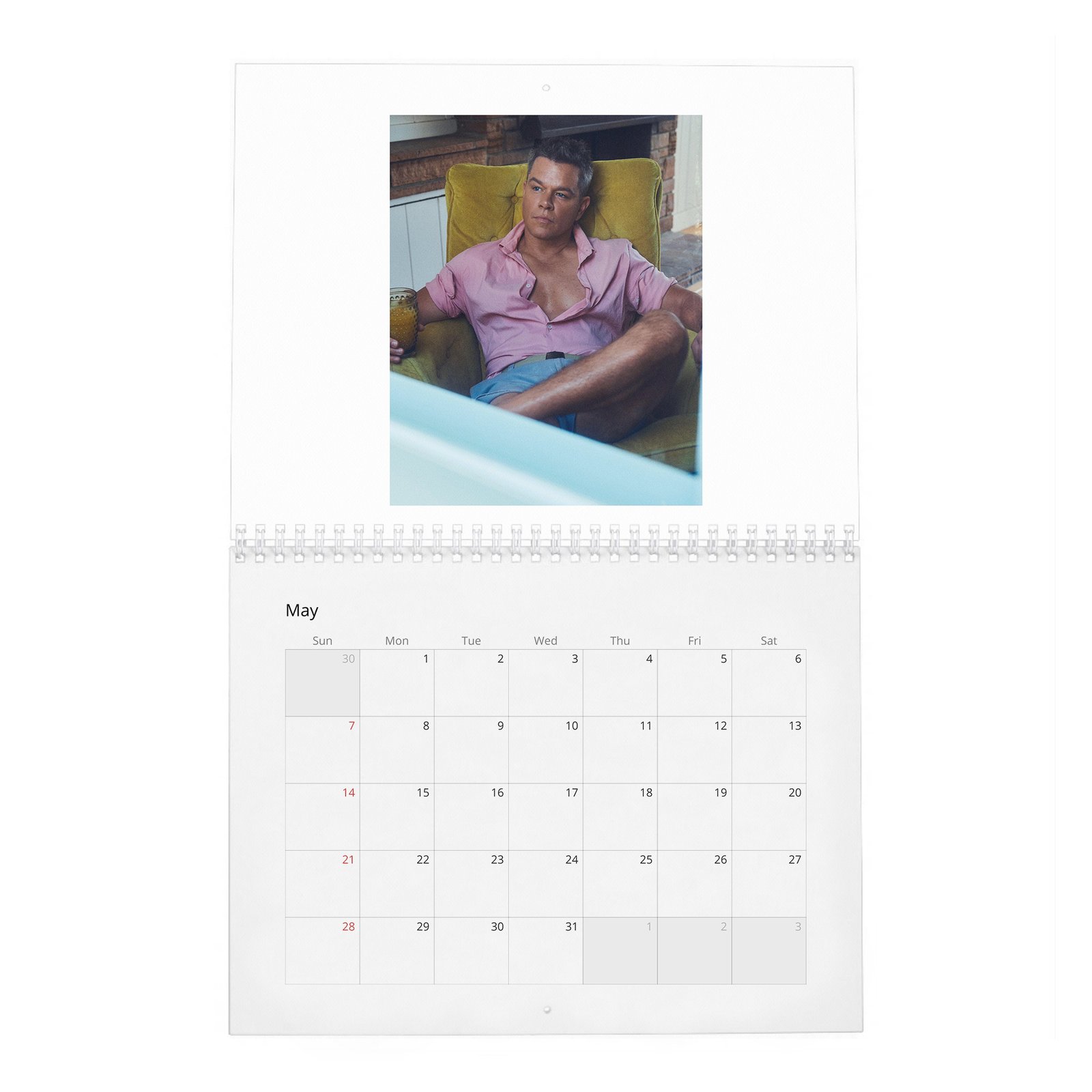 05 Matt Damon - The Evolution Of 2027 Wall Calendar