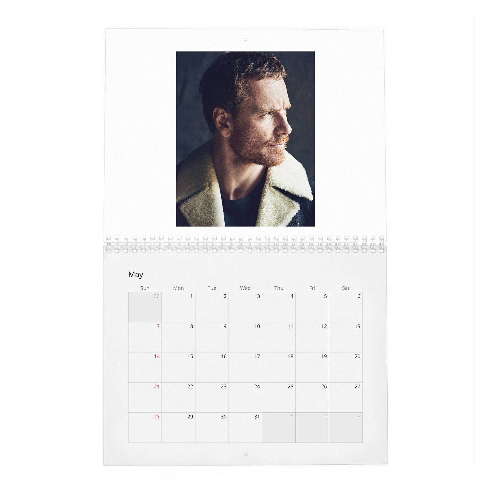 Michael Fassbender - Rules For Living 2027 Wall Calendar