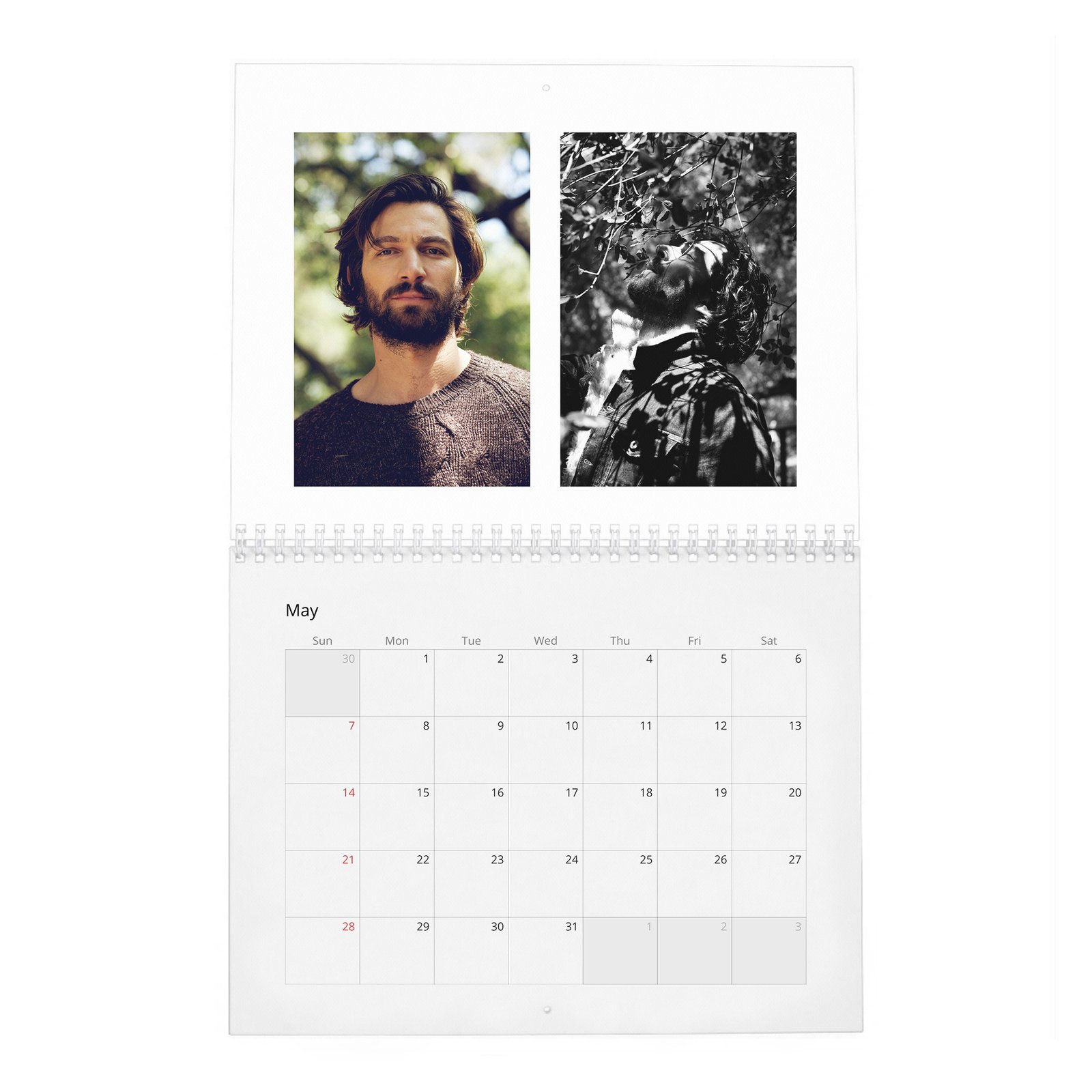 Michiel Huisman - Force At Large 2027 Wall Calendar
