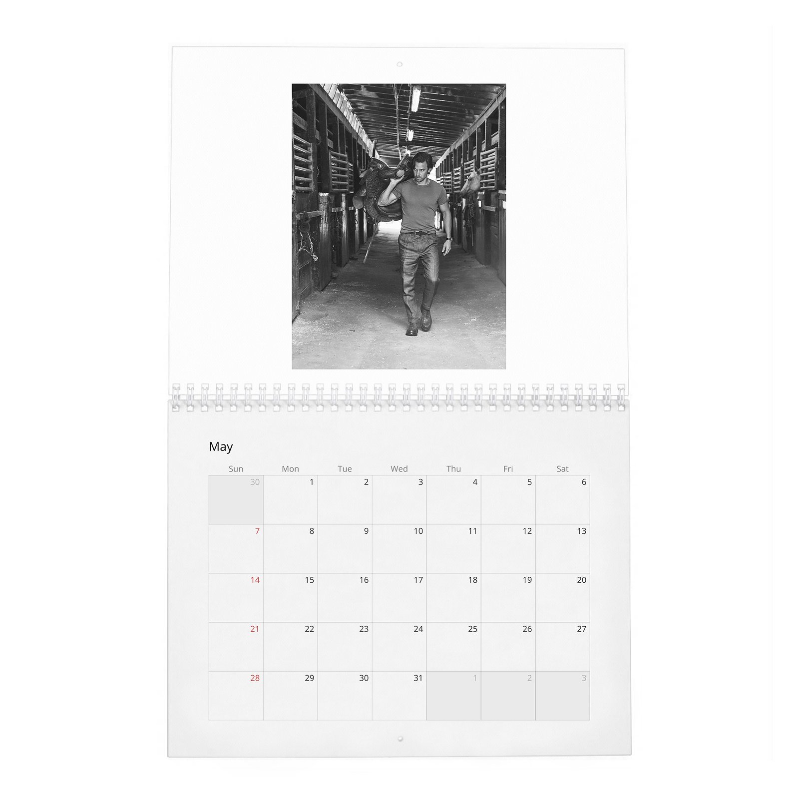 05 Milo Ventimiglia - Emotional Appeal 2027 Wall Calendar