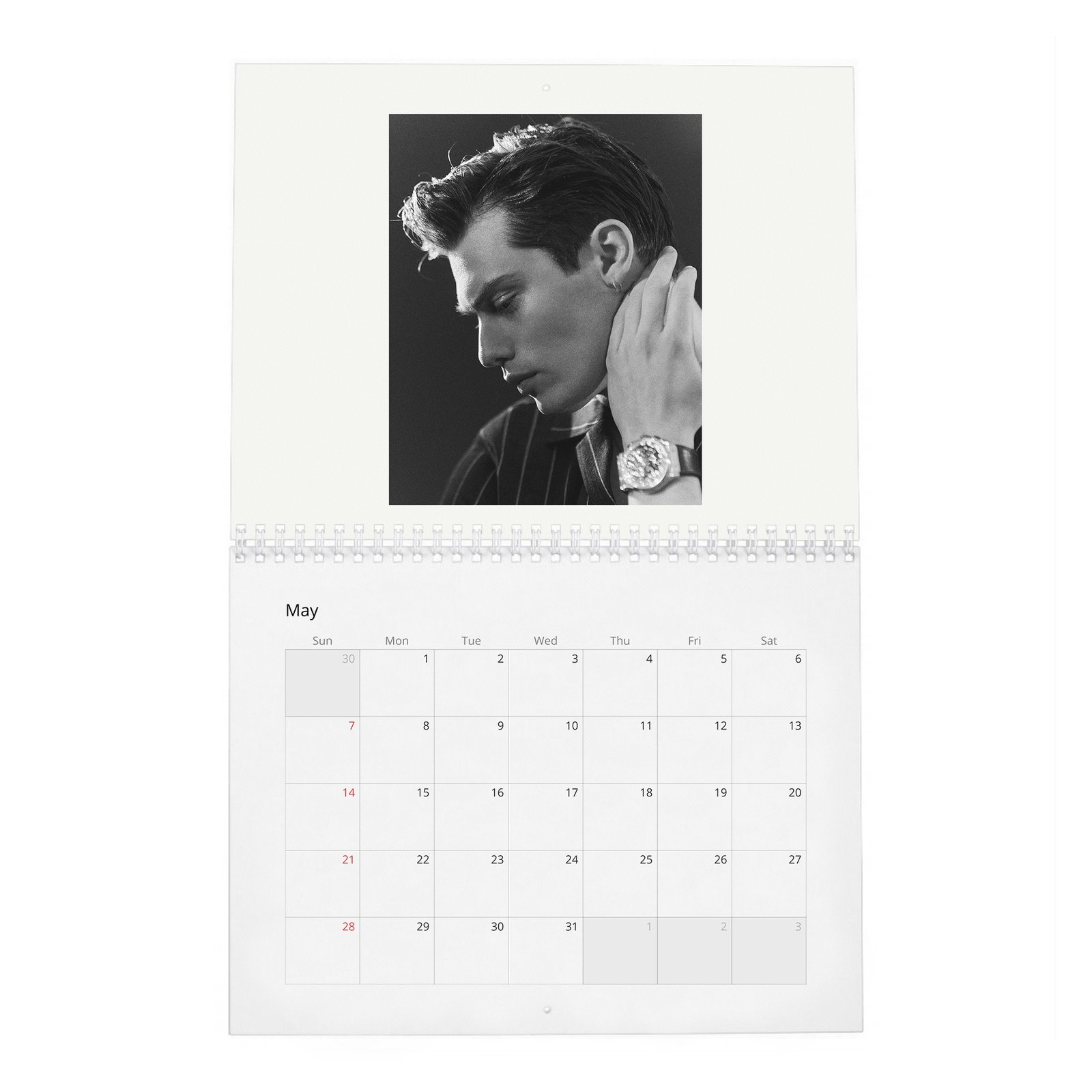 05 Nicholas Galitzine - Flaunt 2027 Wall Calendar