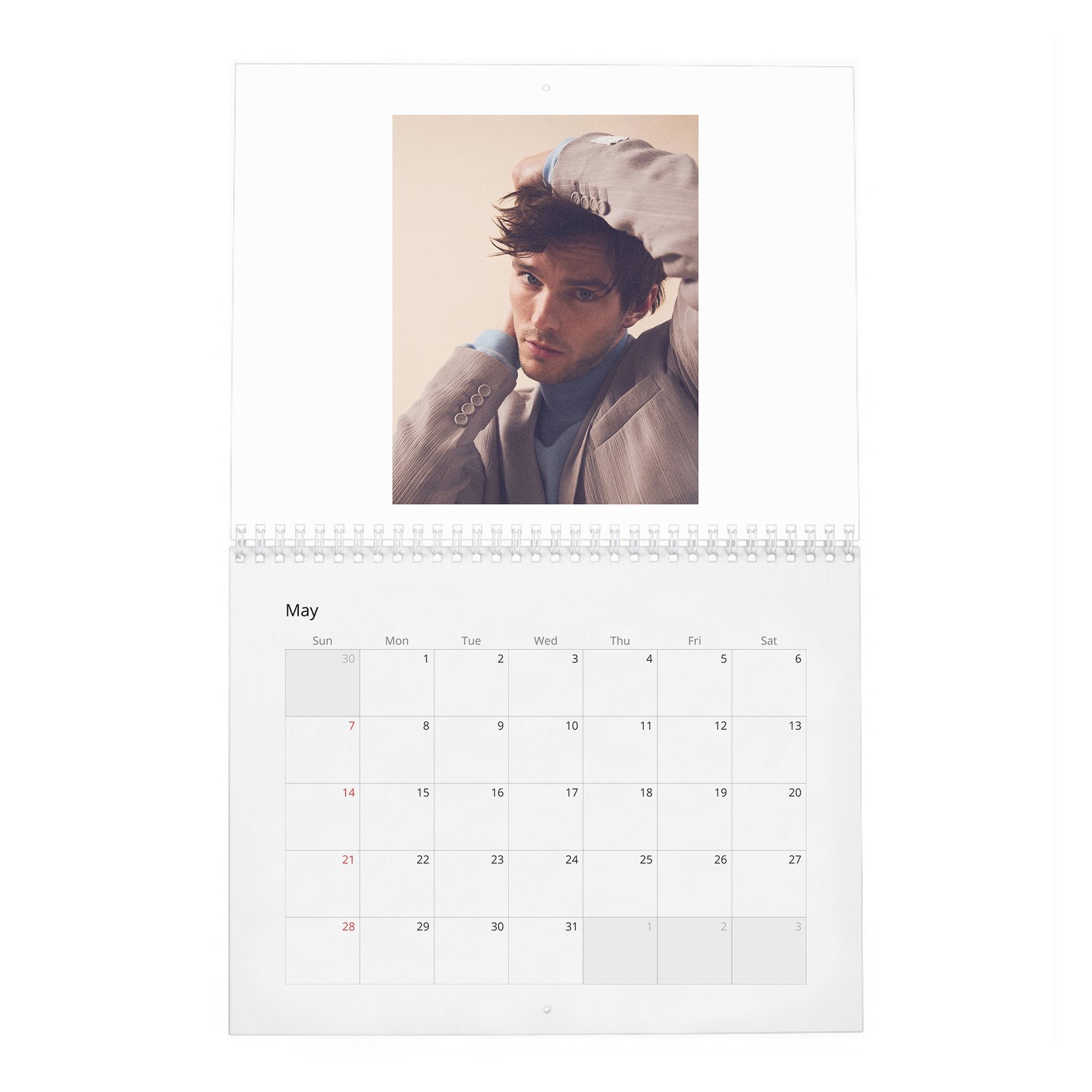 Nicholas Hoult - The Great 2027 Wall Calendar