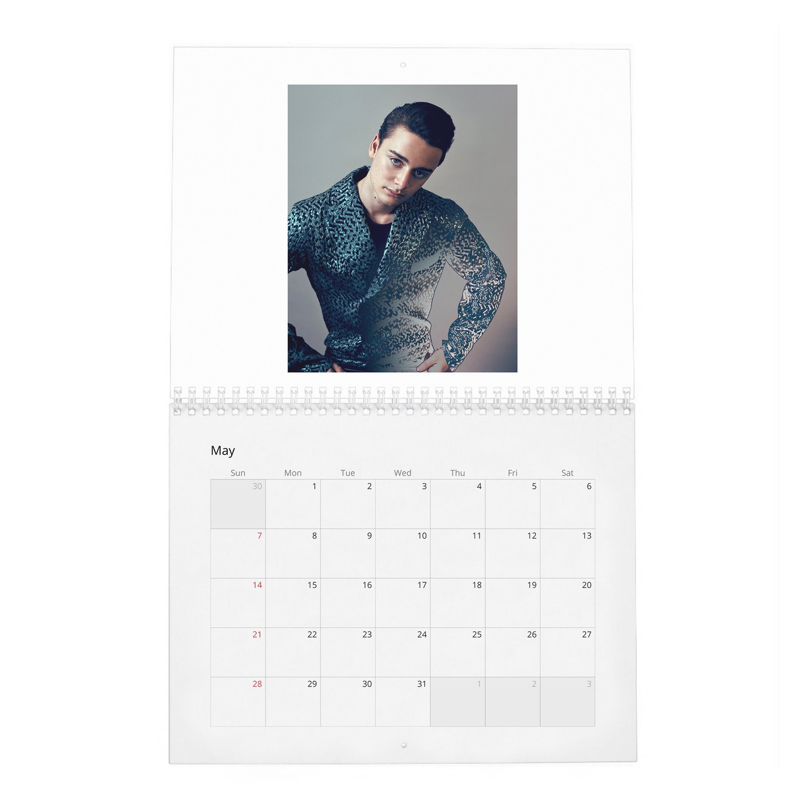 05 Noah Schnapp - Fame Found Him 2027 Wall Calendar