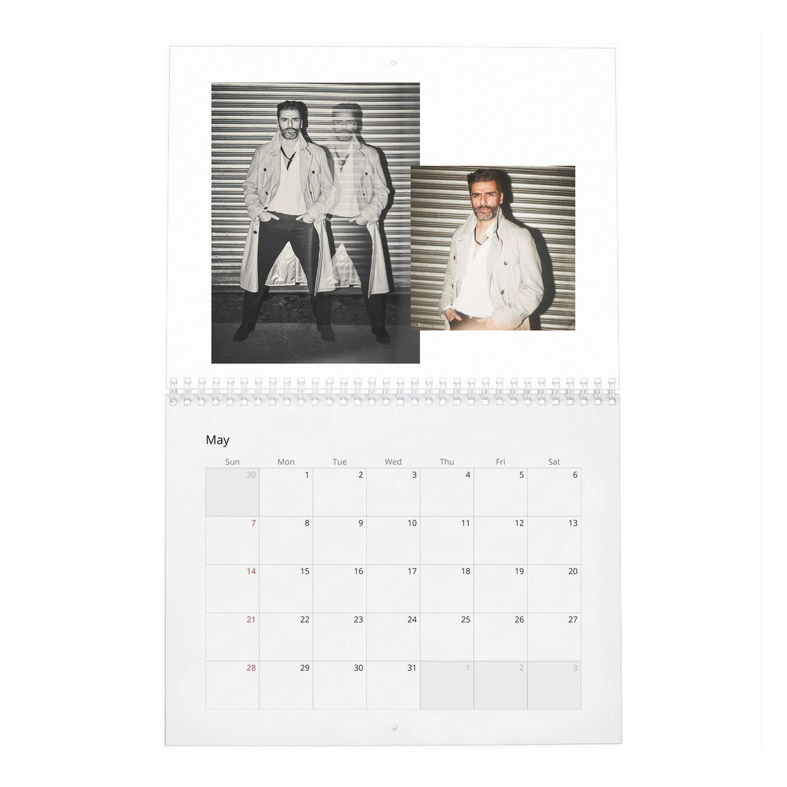 05 Oscar Isaac - The Dream Of 2027 Wall Calendar