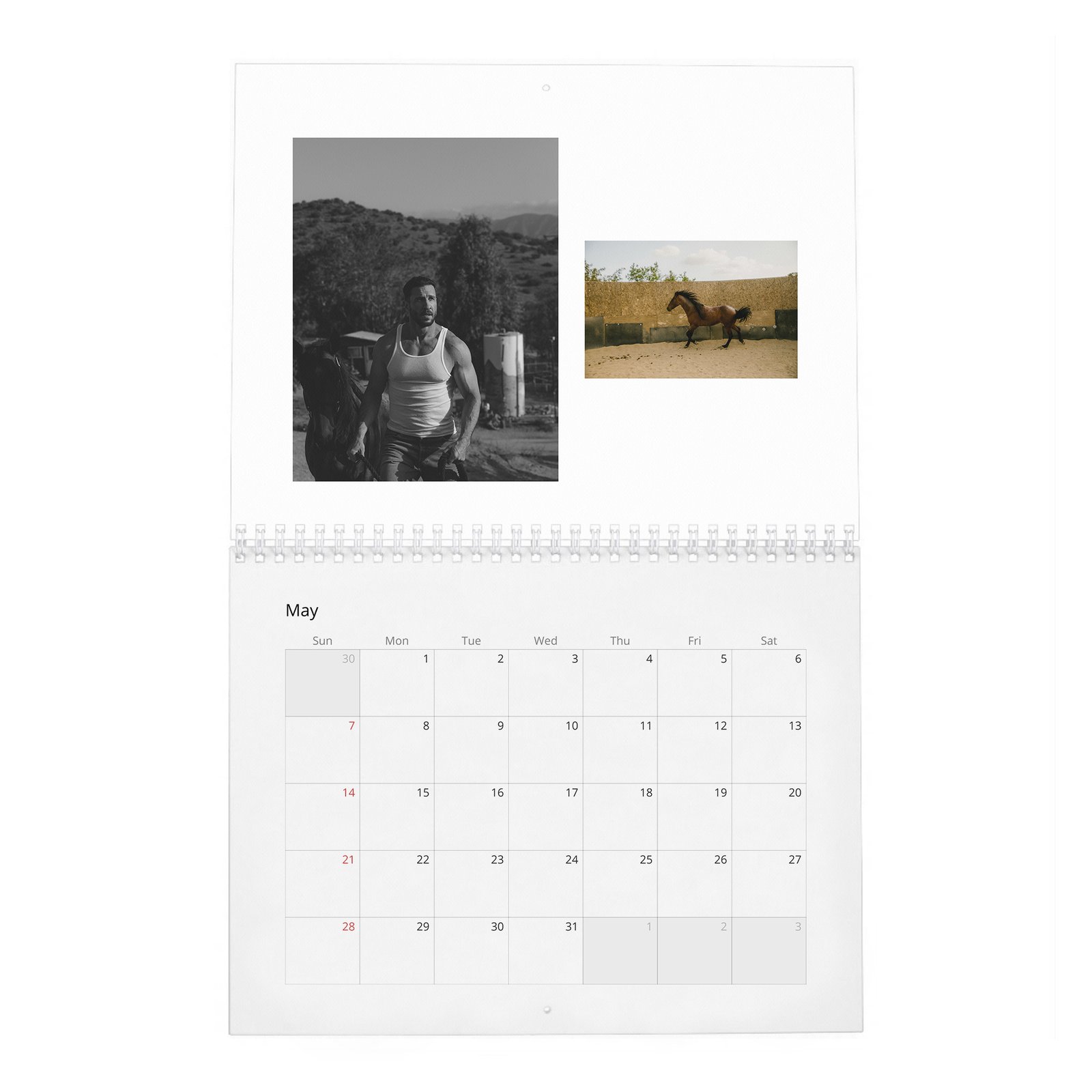 05 Pablo Schreiber - Superhero Warrior 2027 Wall Calendar