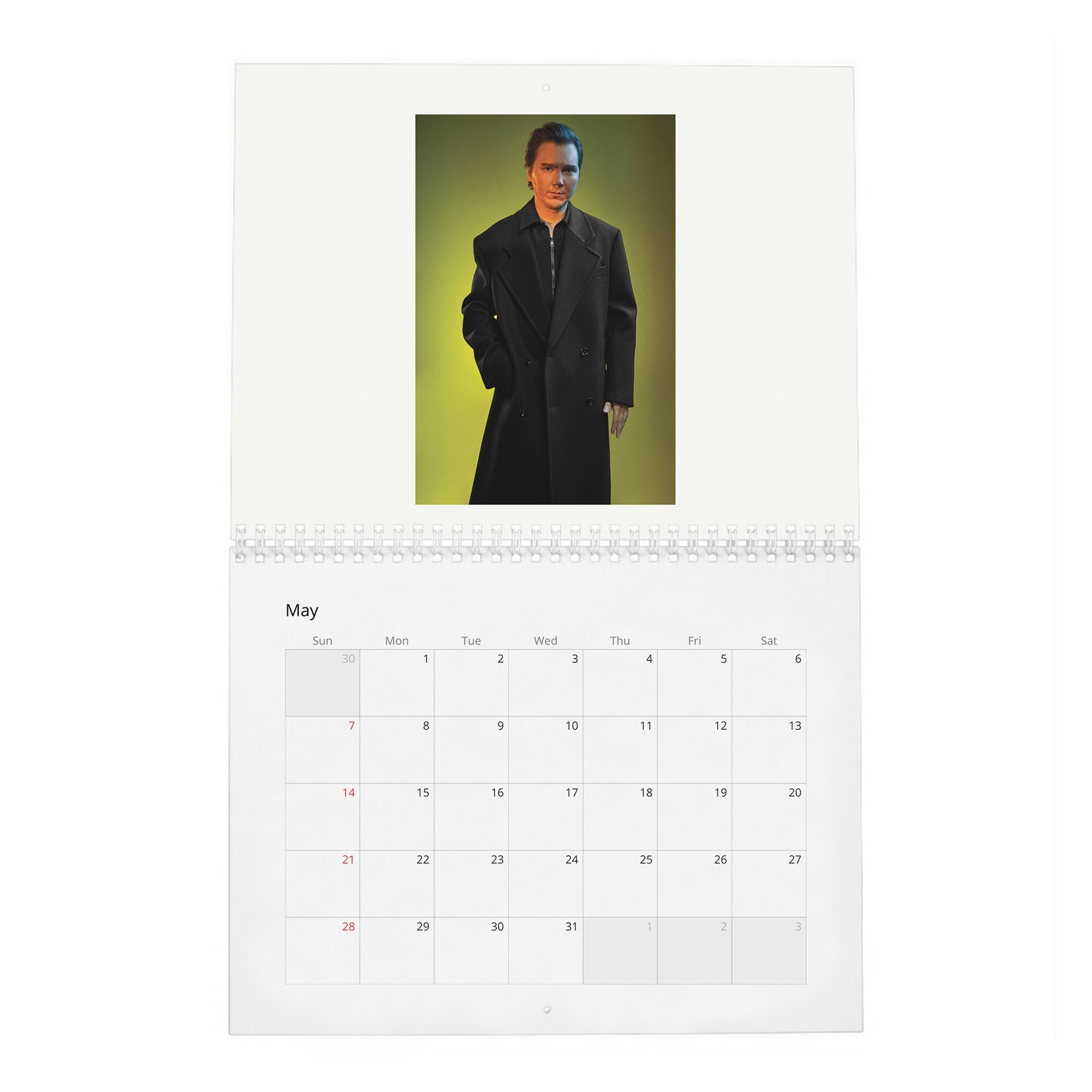 05 Paul Dano - Flaunt 2027 Wall Calendar