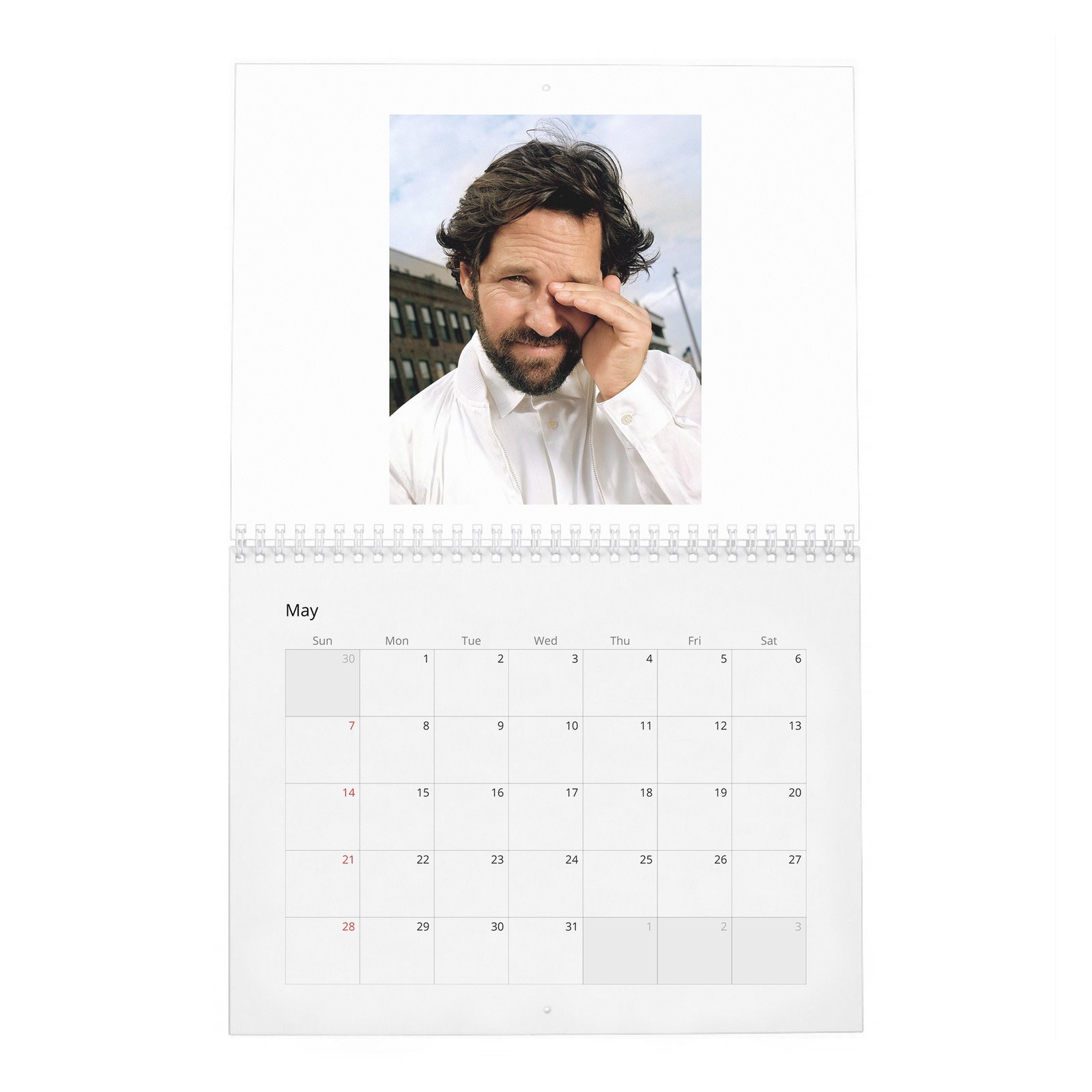 Paul Rudd - Outside His Wheelhouse 2027 Wall Calendar