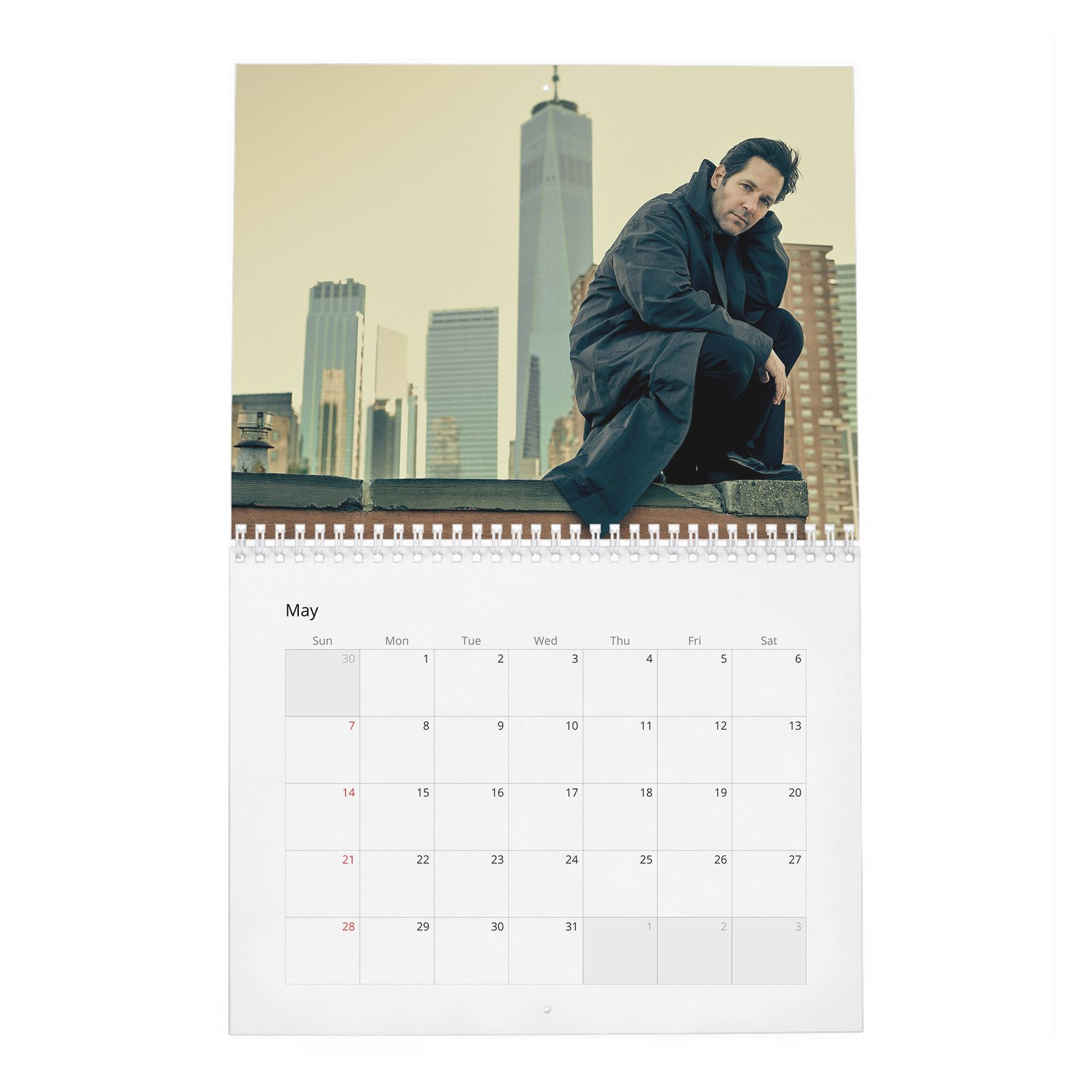 05 Paul Rudd - The Pole Vaulter 2027 Wall Calendar