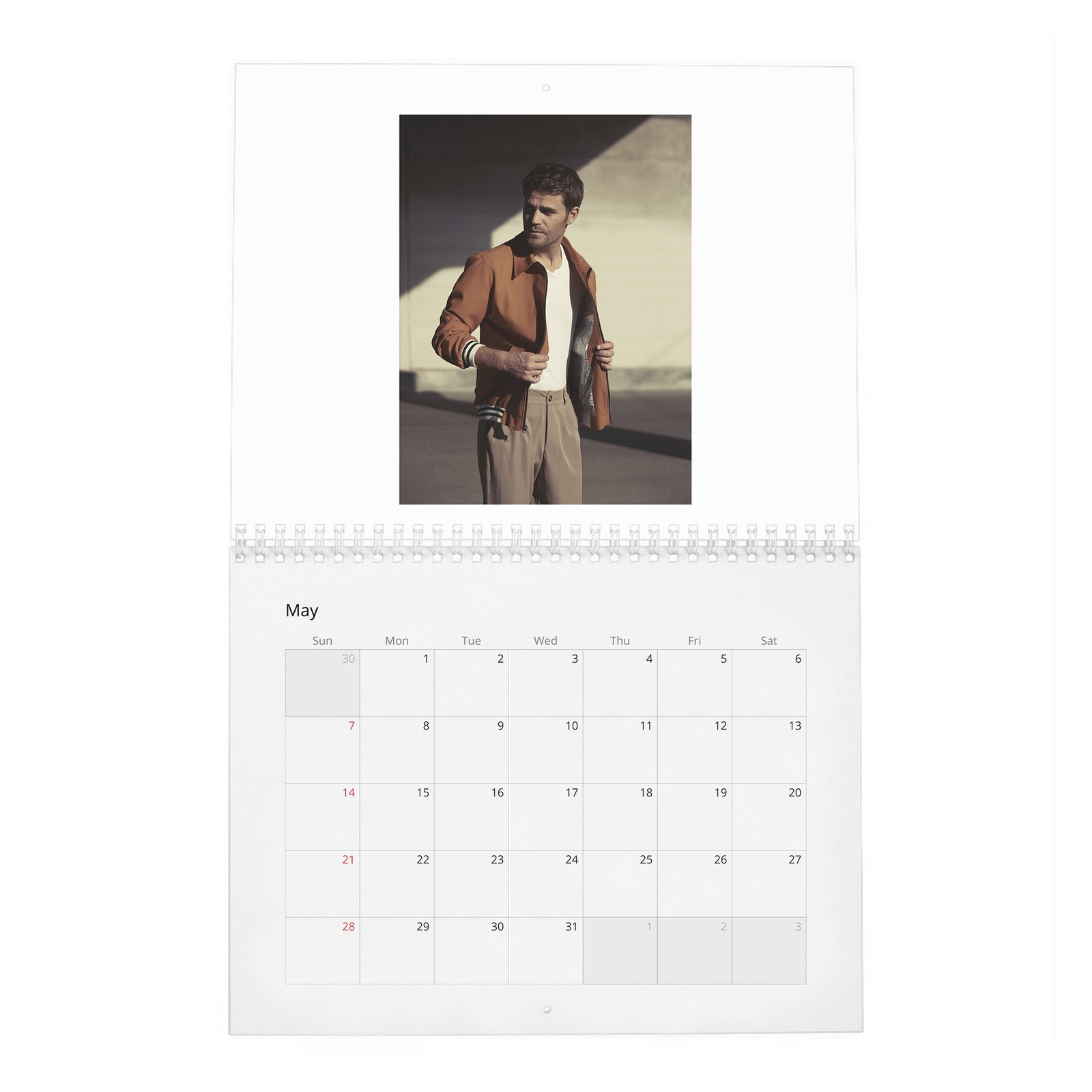 05 Paul Wesley - Handsome Devil 2027 Wall Calendar