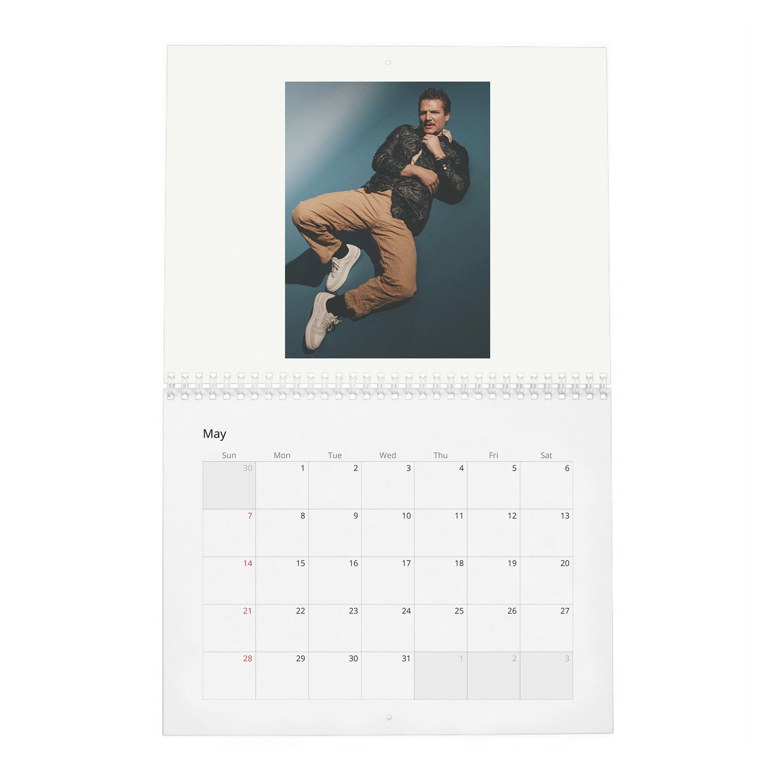 05 Pedro Pascal - Flaunt 2027 Wall Calendar