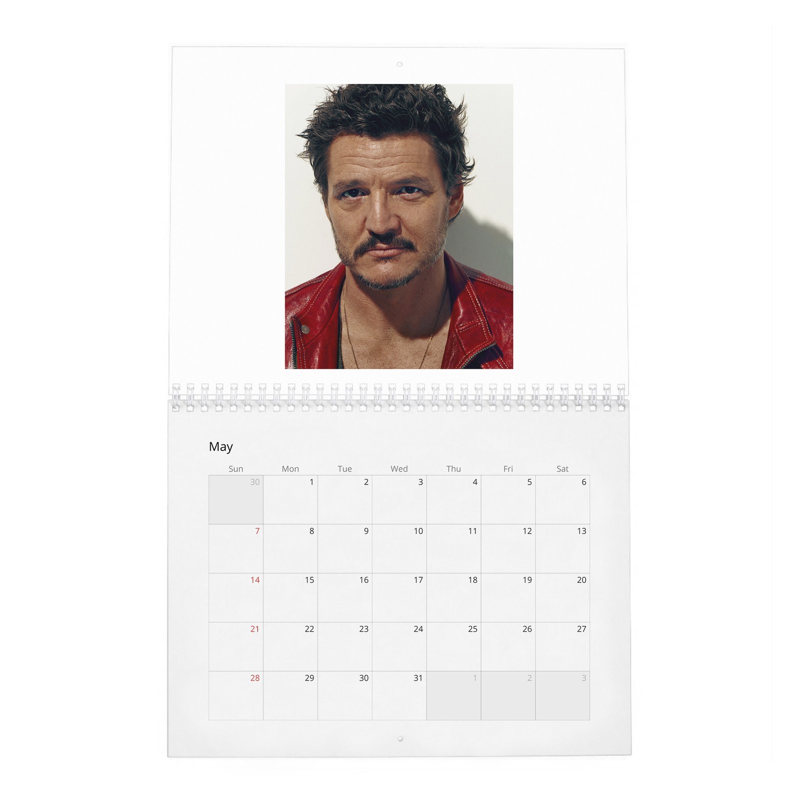 05 Pedro Pascal - The Dangerously Charming 2027 Wall Calendar