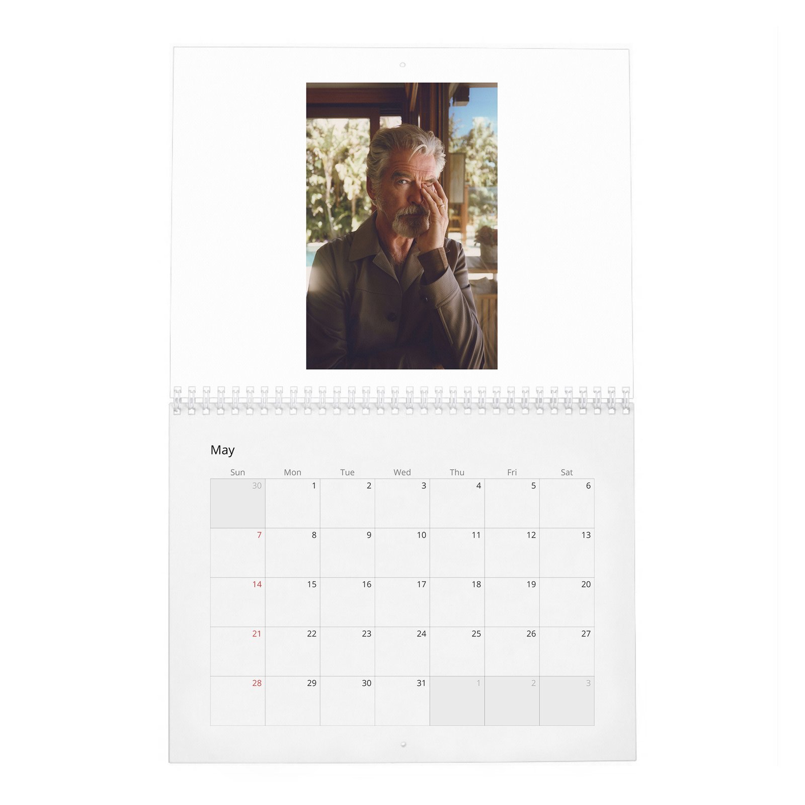 05 Pierce Brosnan - Beachy Life 2027 Wall Calendar
